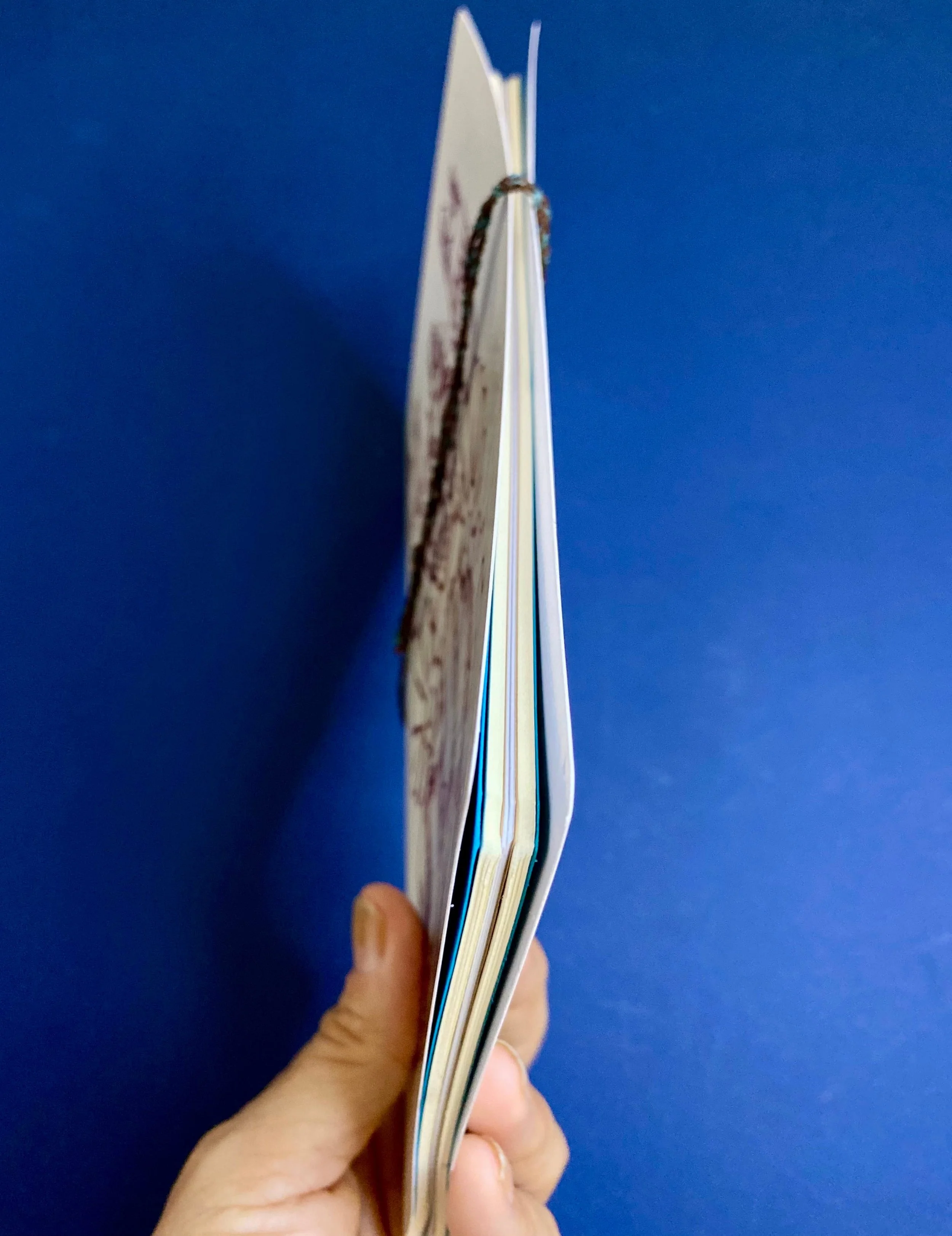 presentation collection maya echo (5).jpg (Copy)