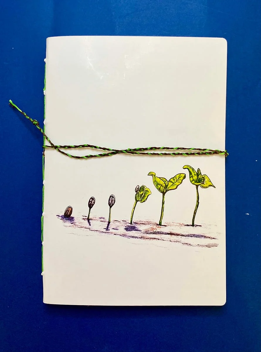growth.jpg
