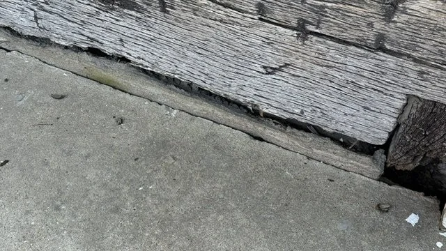 IMG_2130.jpeg