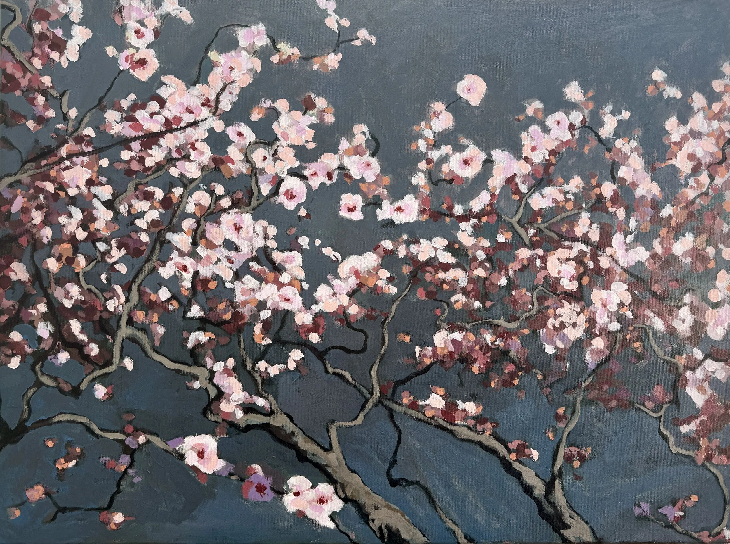 Misty Cherry Blossoms