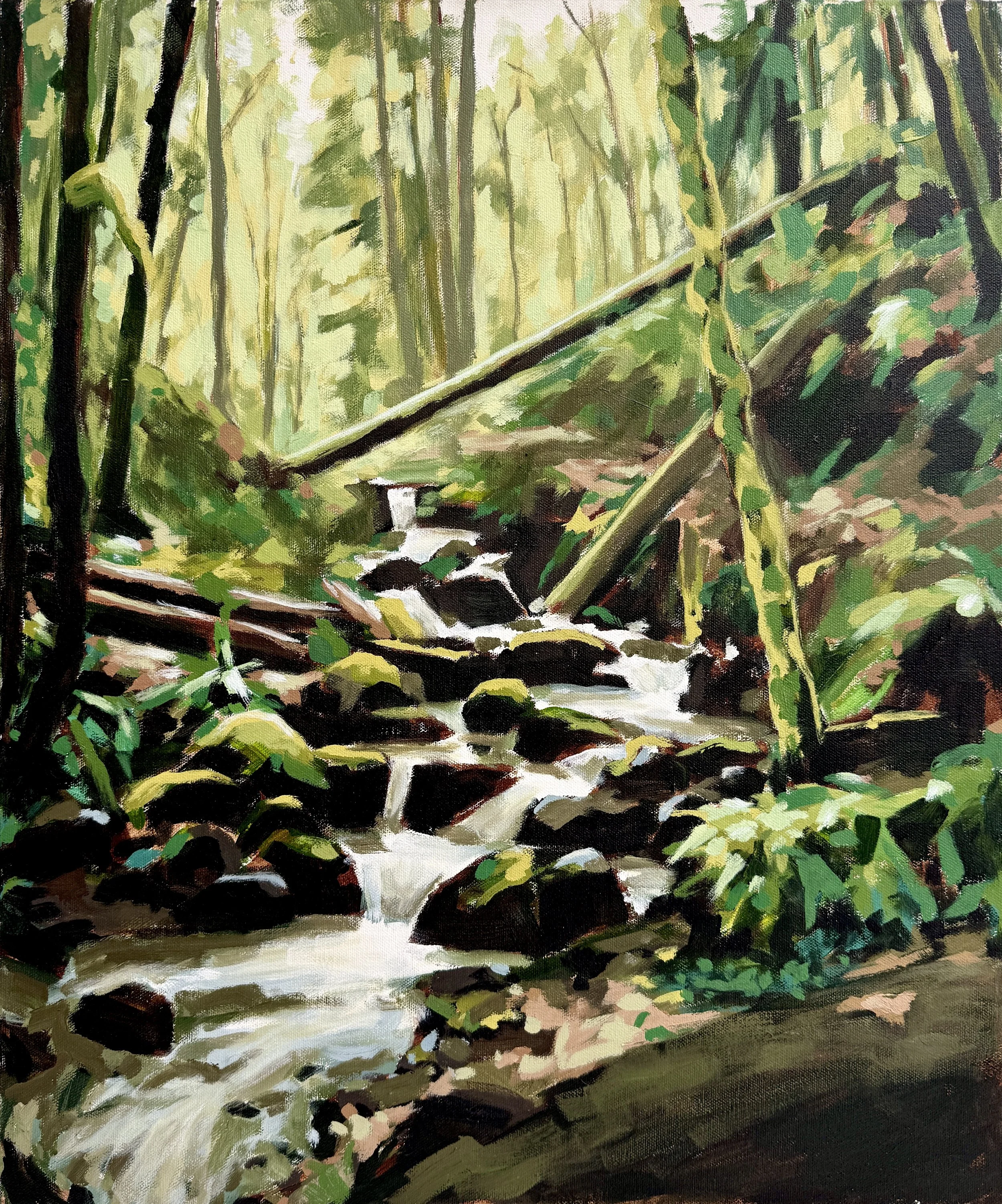Forest Creek II