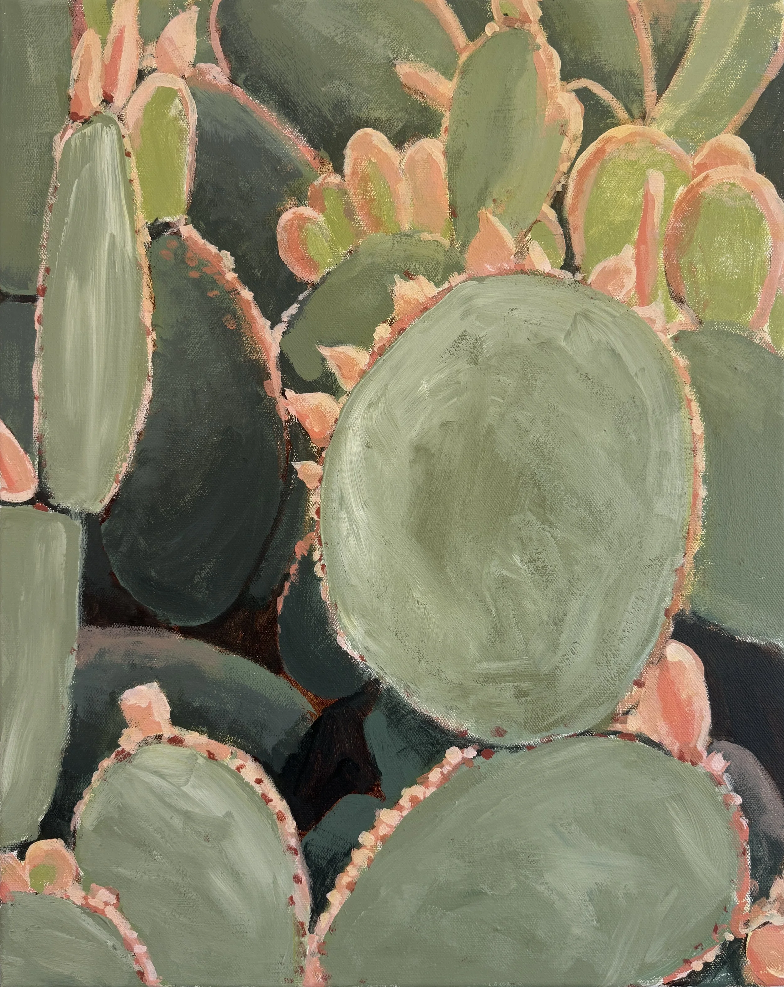 Prickly Pear Cactus