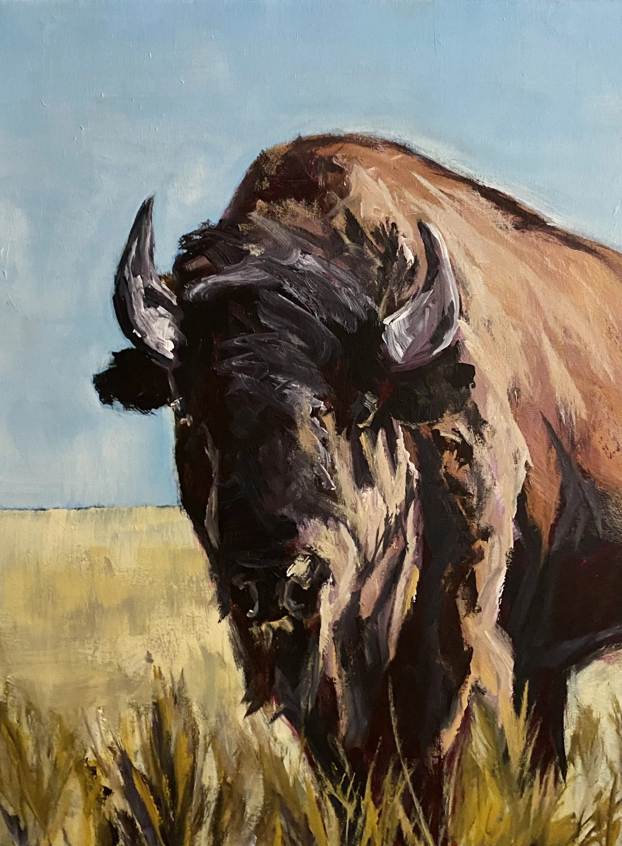 Bison