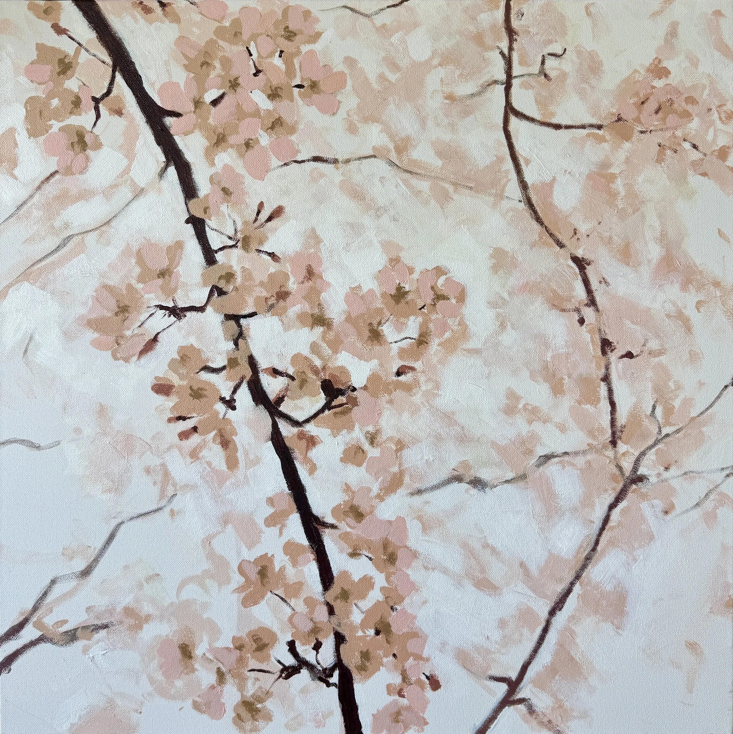Spring Cherry Branches