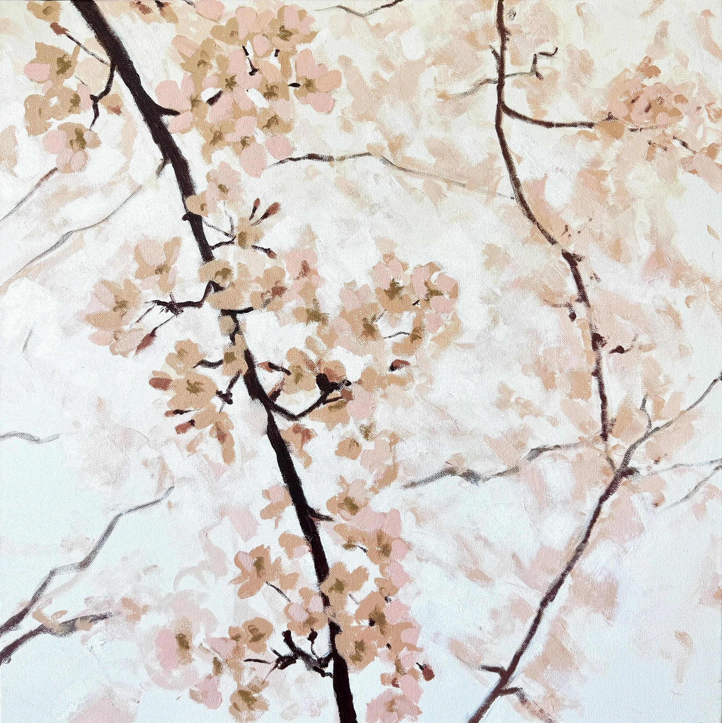 Spring Cherry Branches