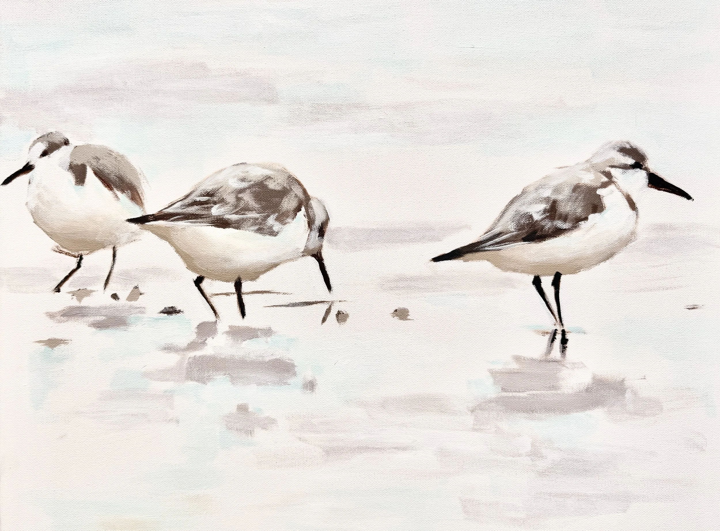 Sandpipers II