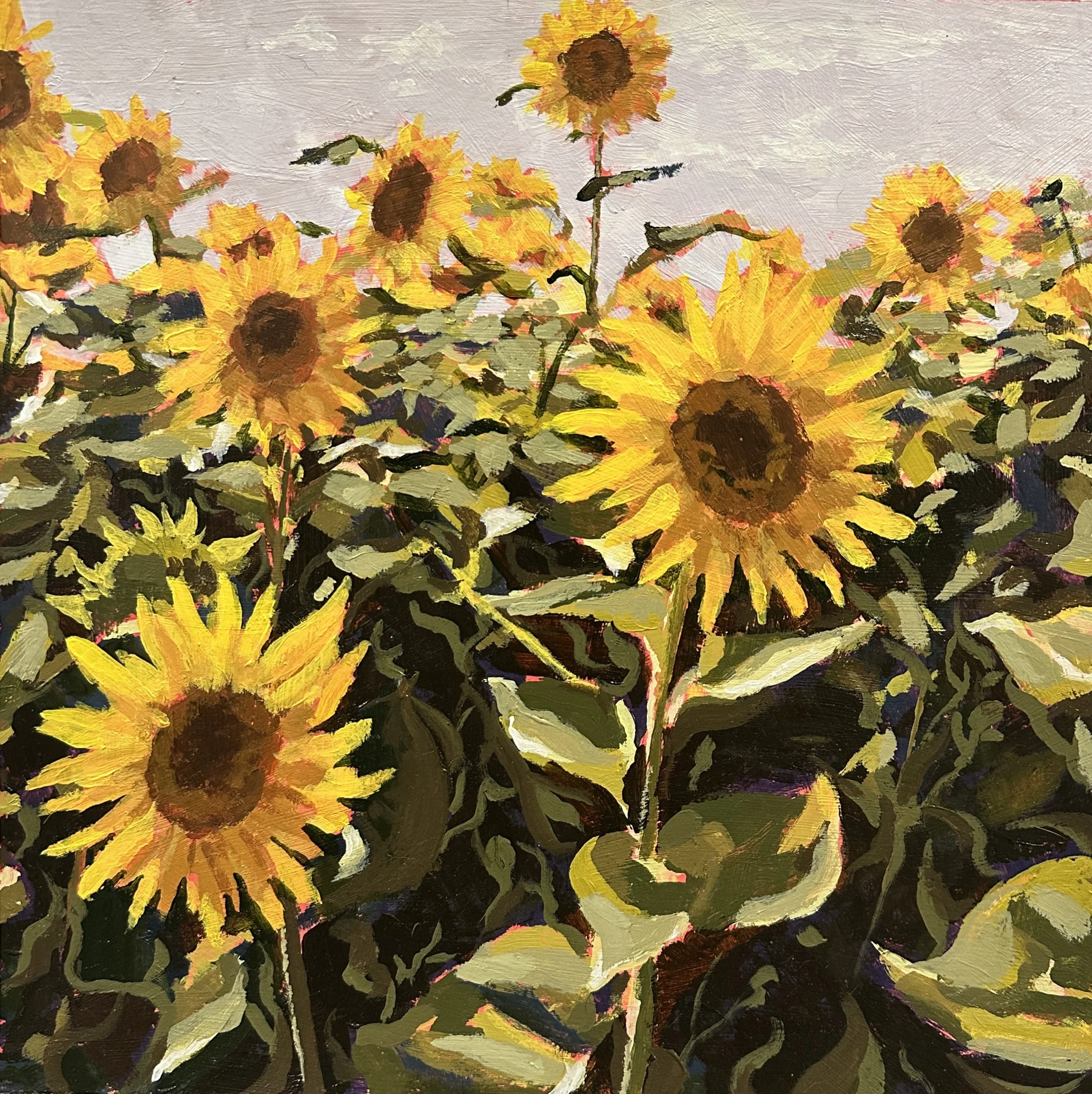 Sunflower Farm