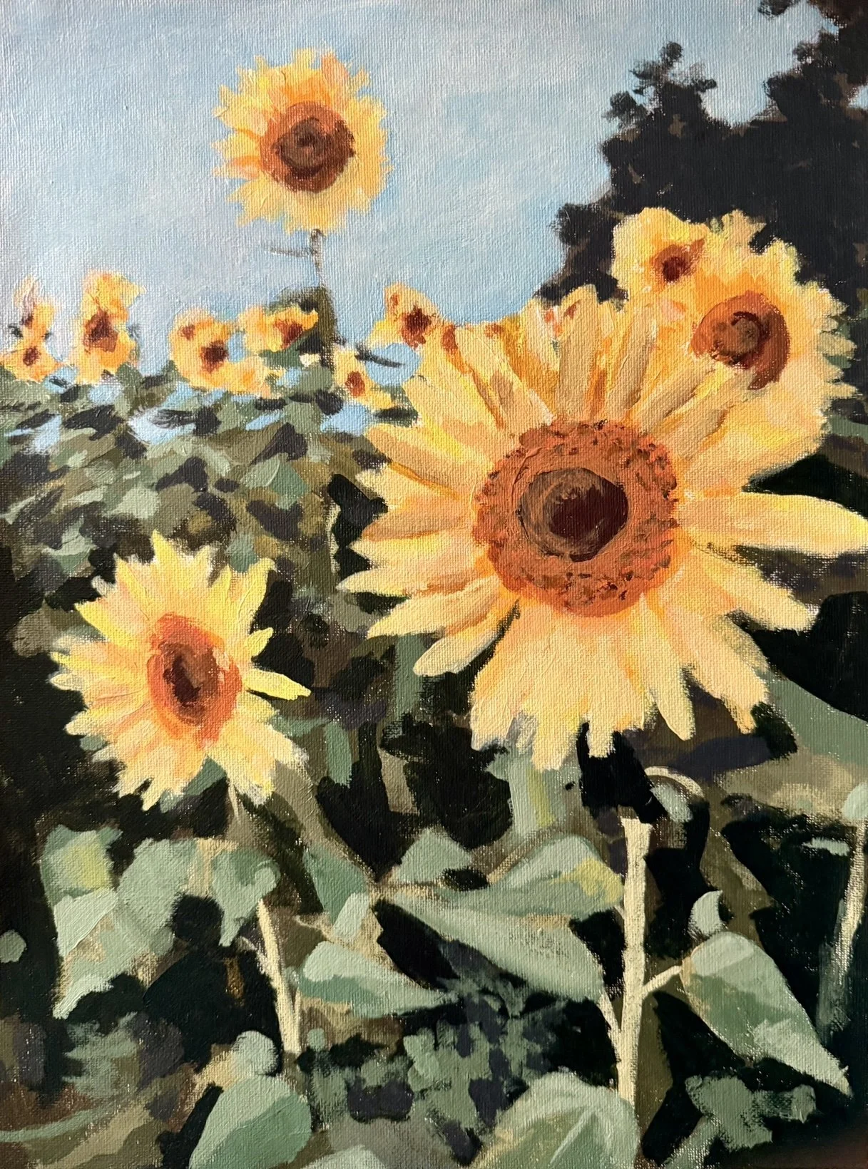 Sunflower Field
