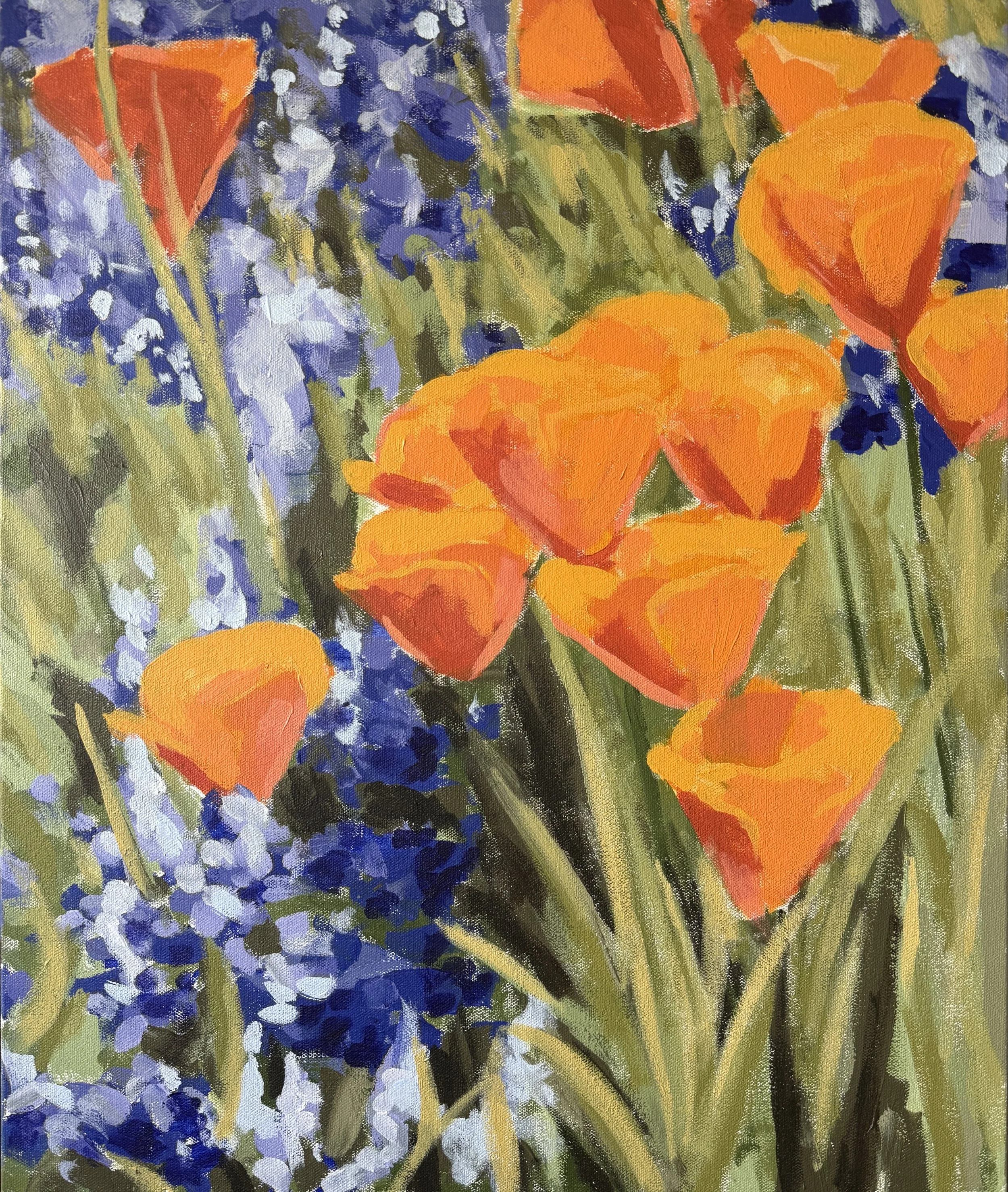Poppies and Lupines