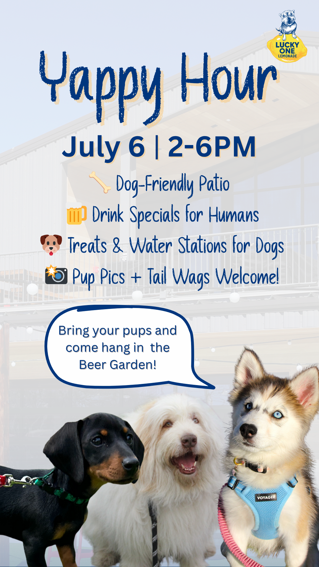 Yappy Hour with Lucky One Lemonade!