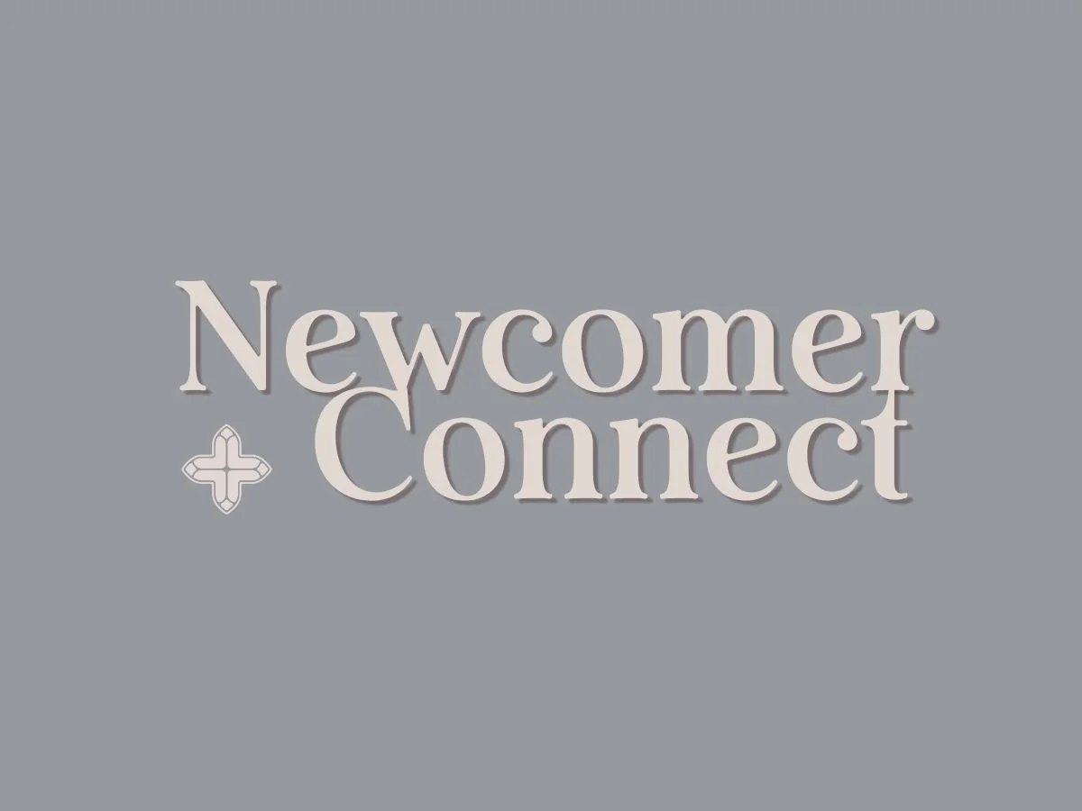 NewComer Connect