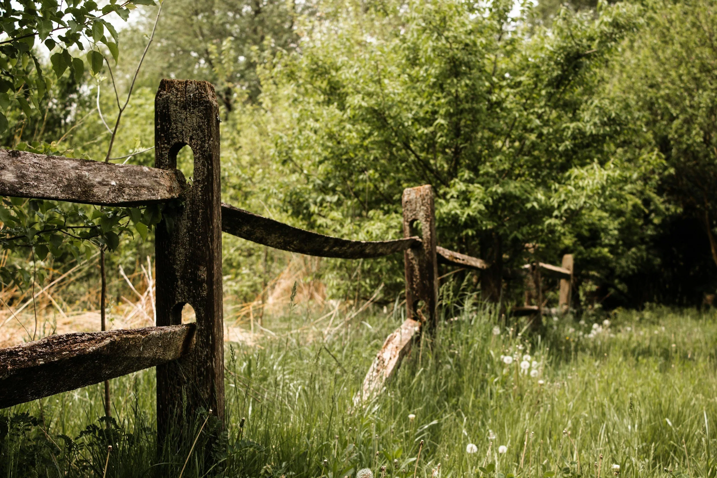 How to Cope When Your Narcissistic Parent Crosses a Boundary&nbsp;