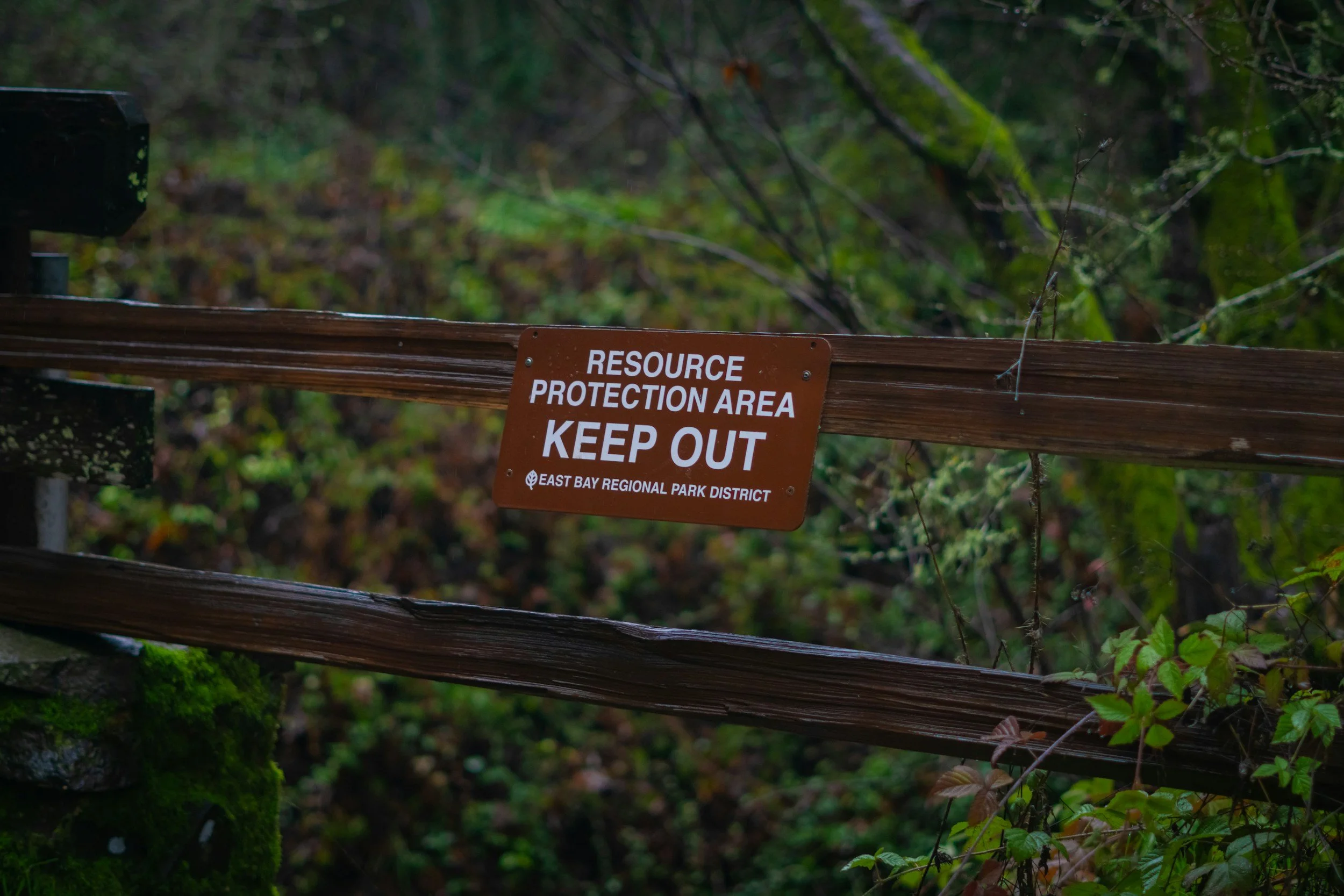 A sign on a fence in front of a wild forest that says "Resource Protection Area Keep Out"