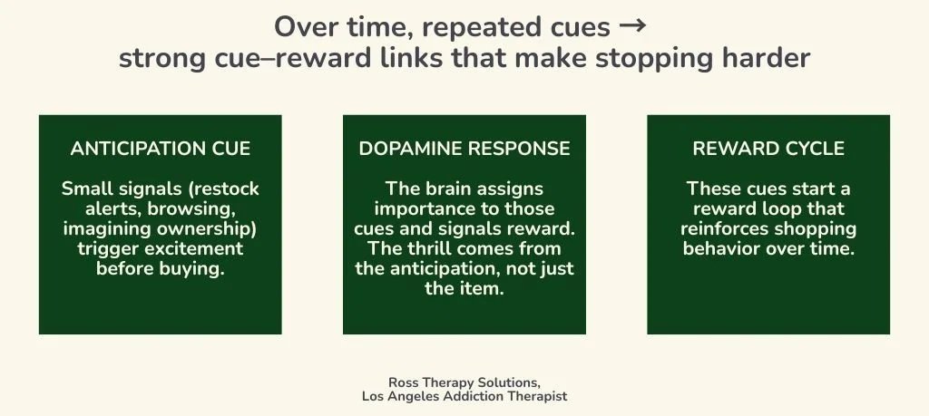 Shows how dopamine reward cycles can trigger compulsive shopping, with anticipation, dopamine response, and reward cycle.