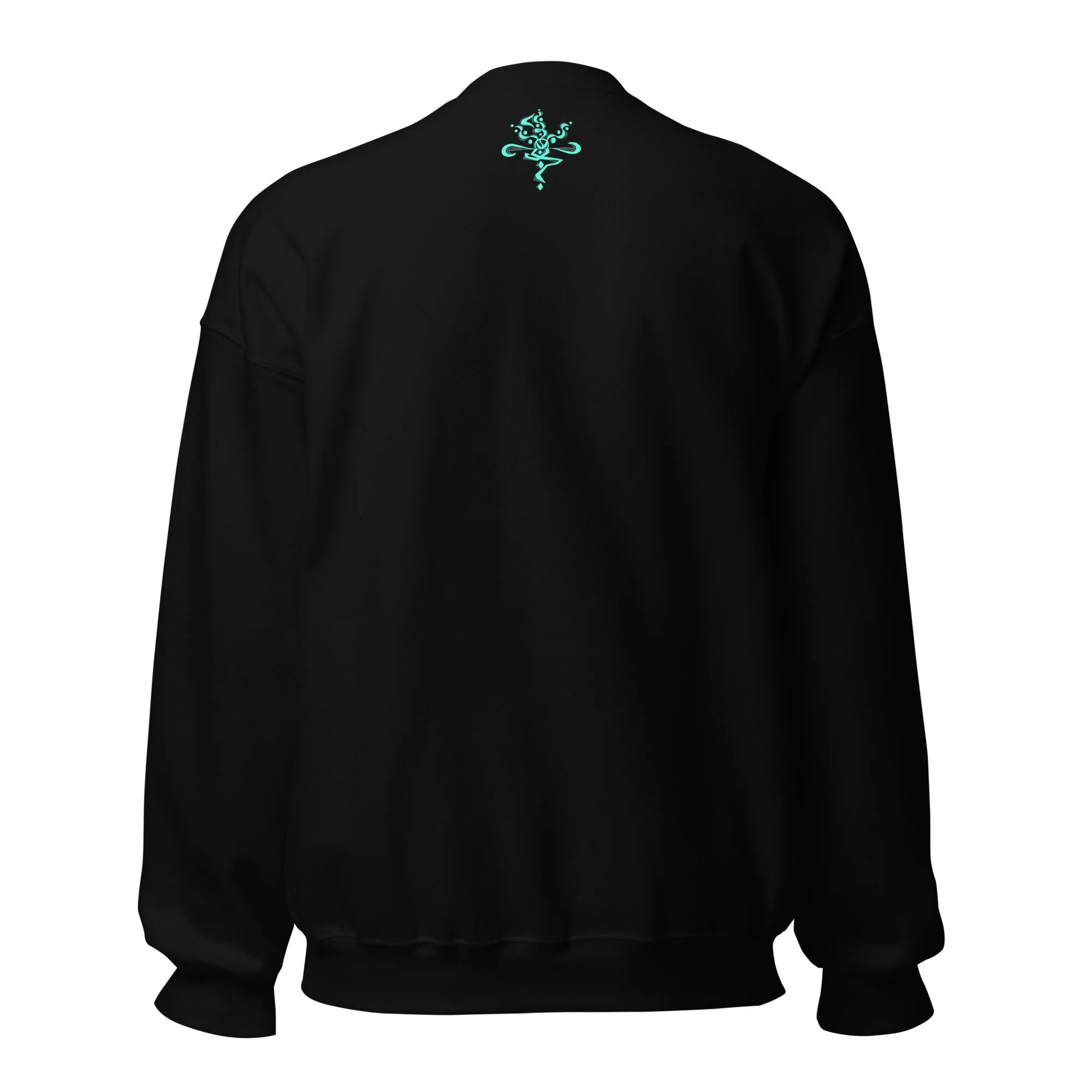 unisex-crew-neck-sweatshirt-black-back-6778eb0540ea2.jpg