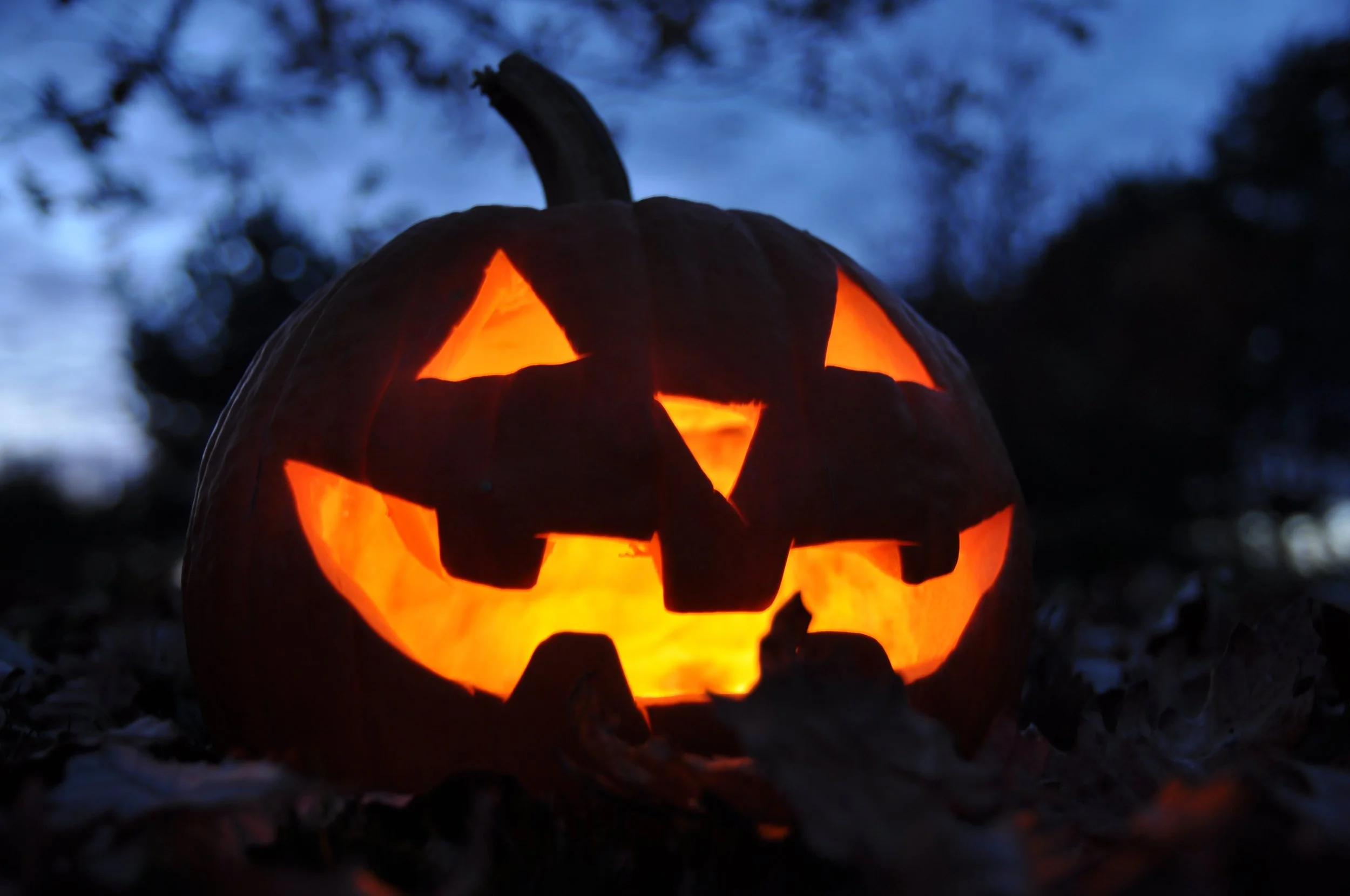 4914509810_8d3dc7e5b6_o 2.JPG