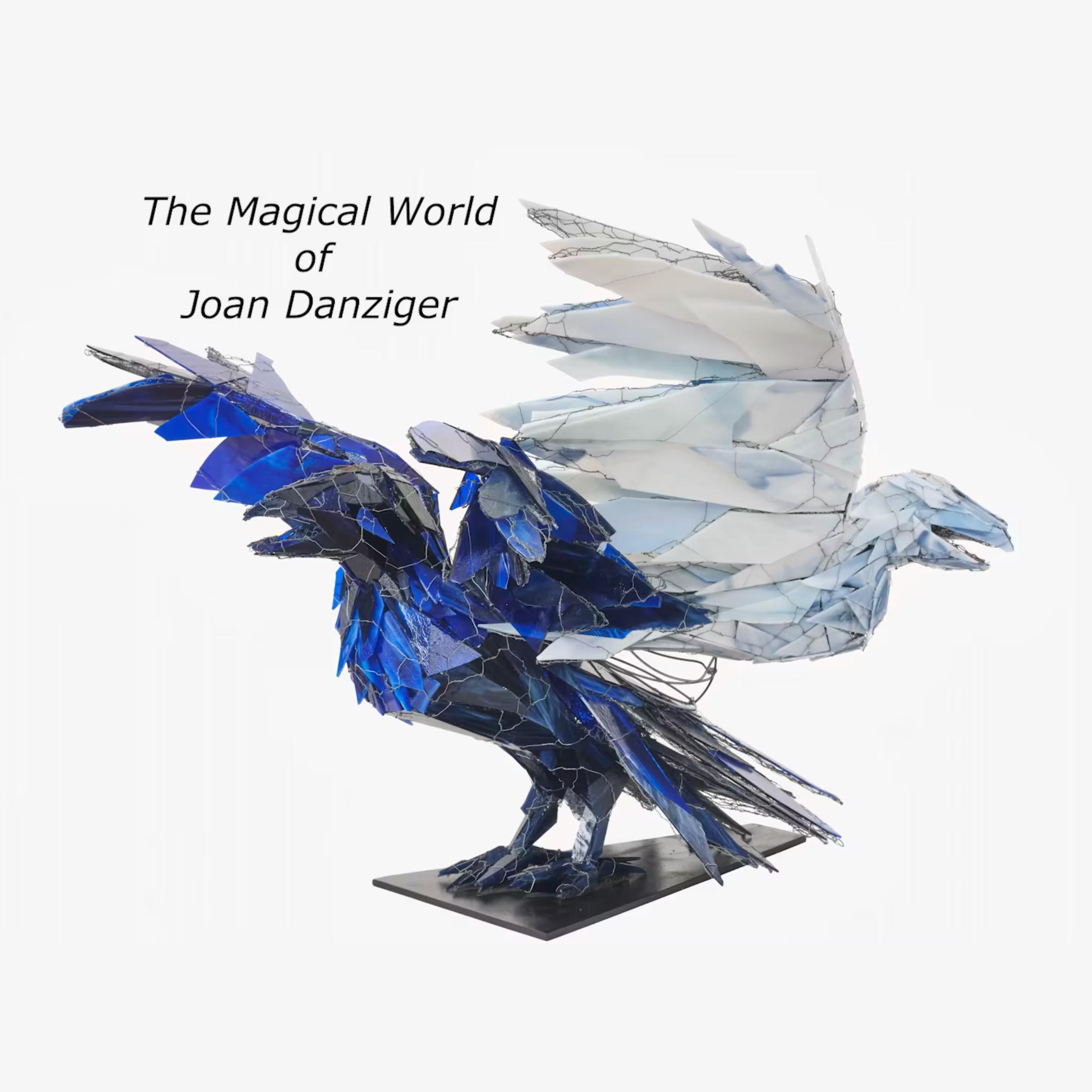 The Magical World of Joan Danziger