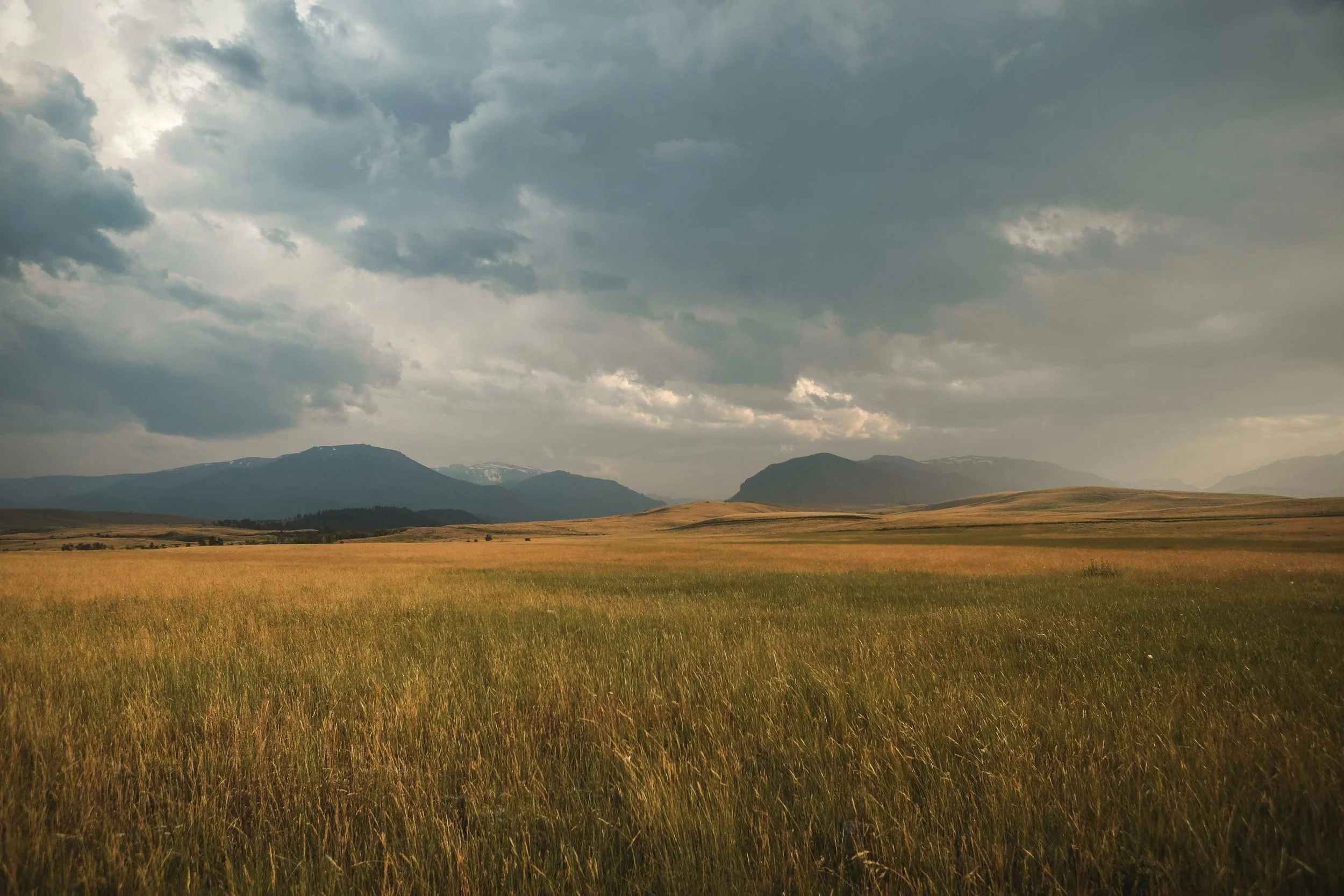 Open grassland with mountains in the background under cloudy sky.