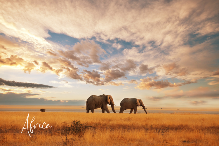 Australia (750 x 500 px) (3).png