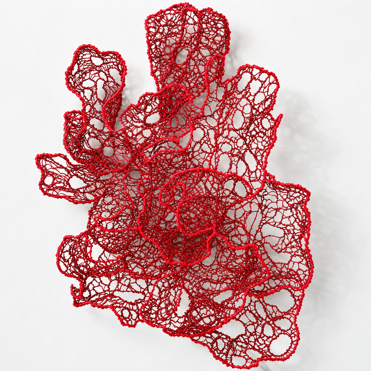 Red Coral