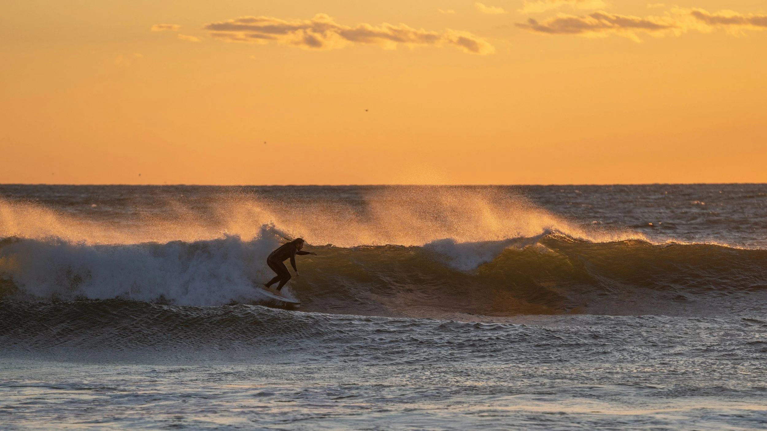 Exploring the Charm of Corona del Mar's Flower Streets: A Real Estate Perspective
