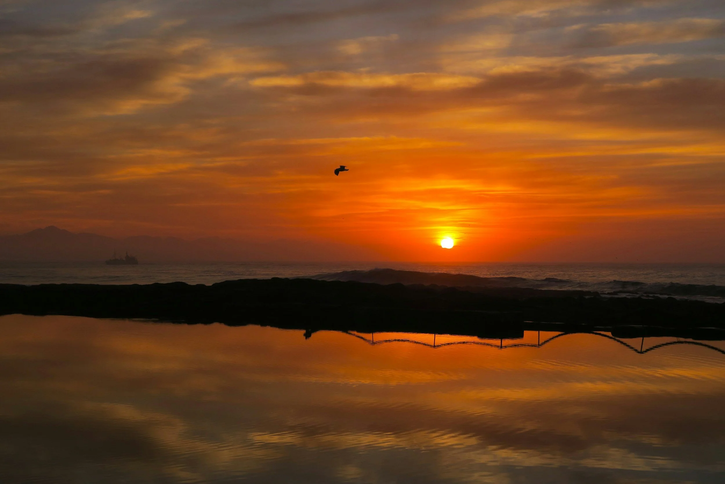 Exploring the Impact of the Corona del Mar Tide Pools on Local Real Estate Values