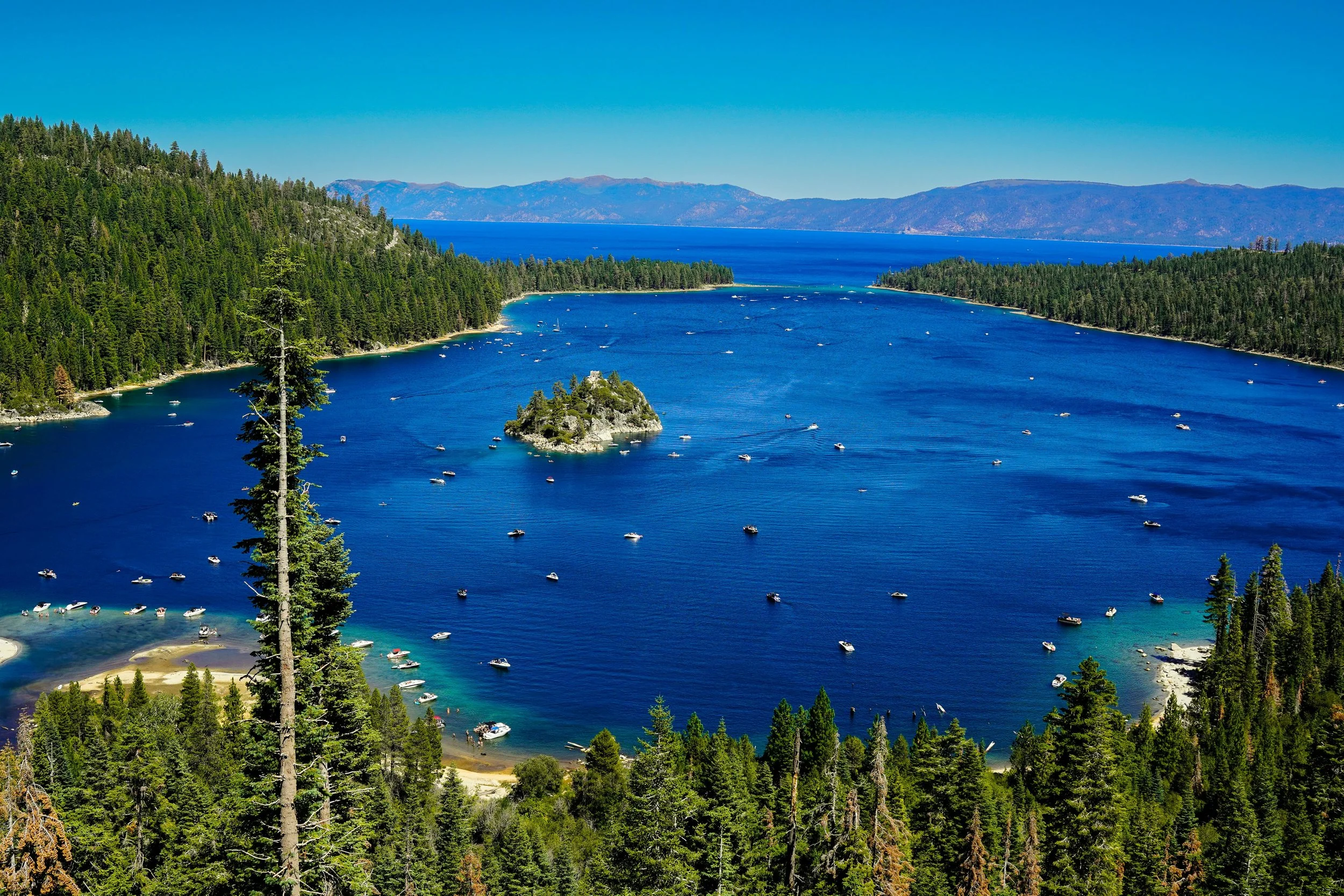 Laguna Beach Real Estate: A Comparative Look at Emerald Bay and Irvine Cove