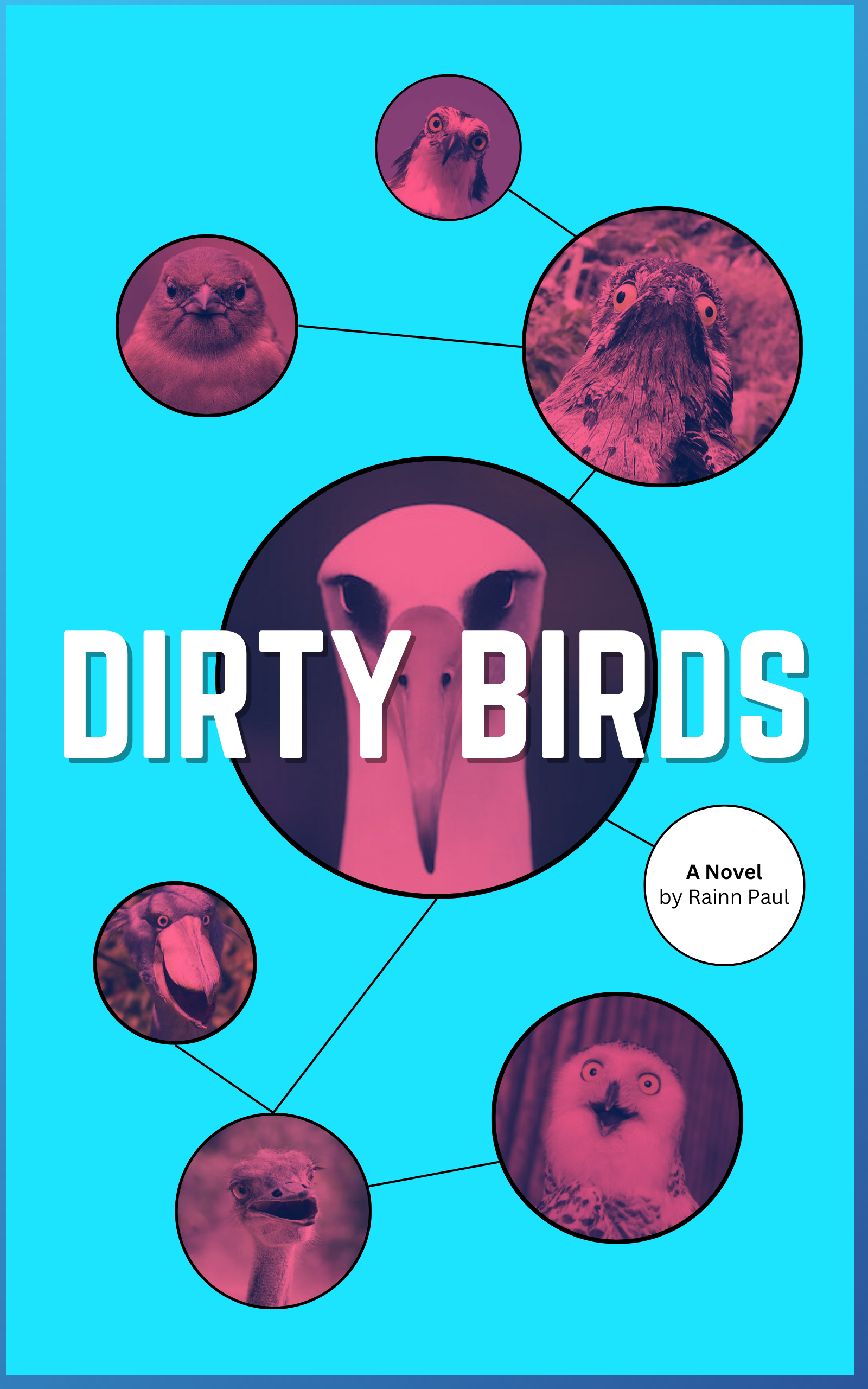 Dirty Birds Cover.png