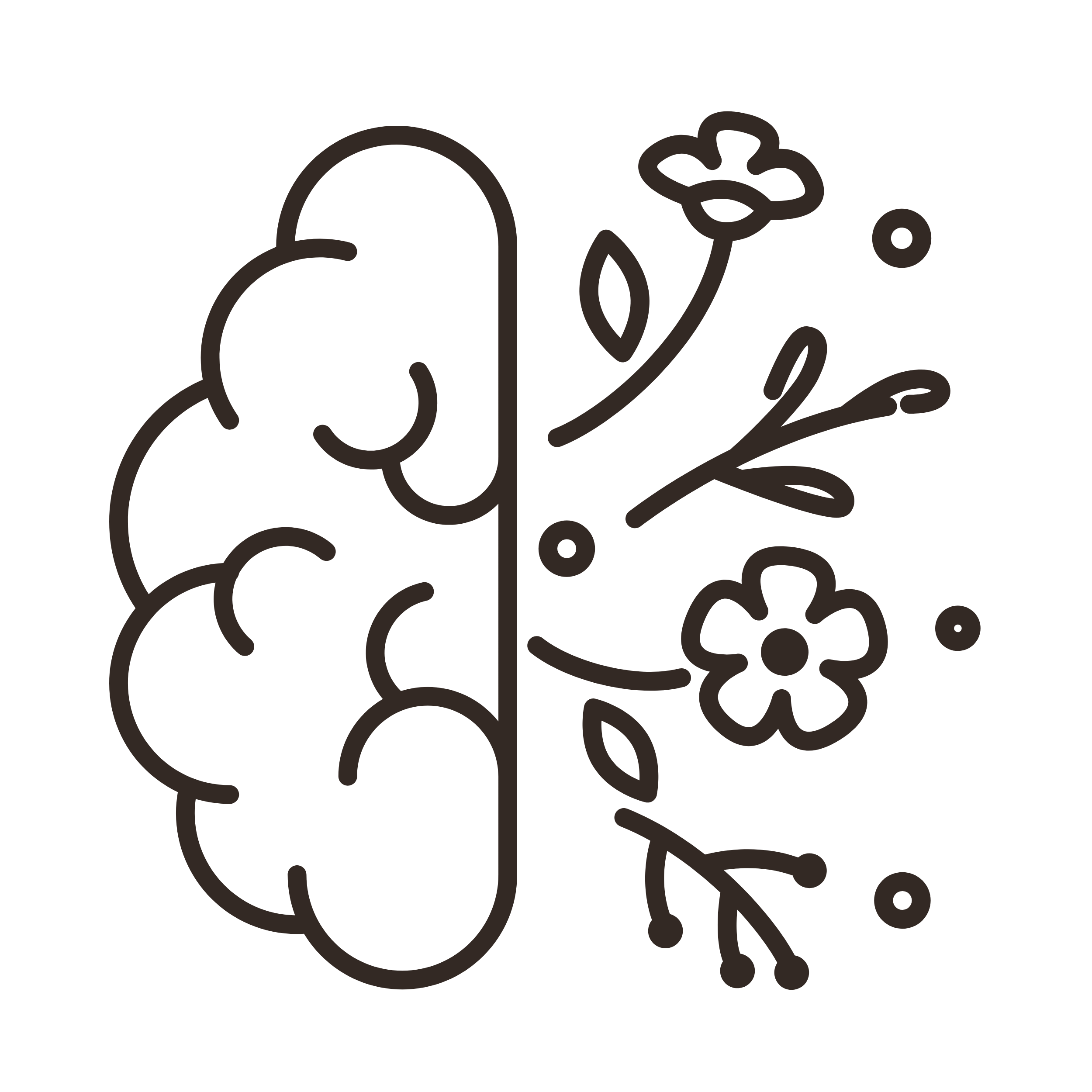 Outline drawing of potted plant with multiple stems and leaves.