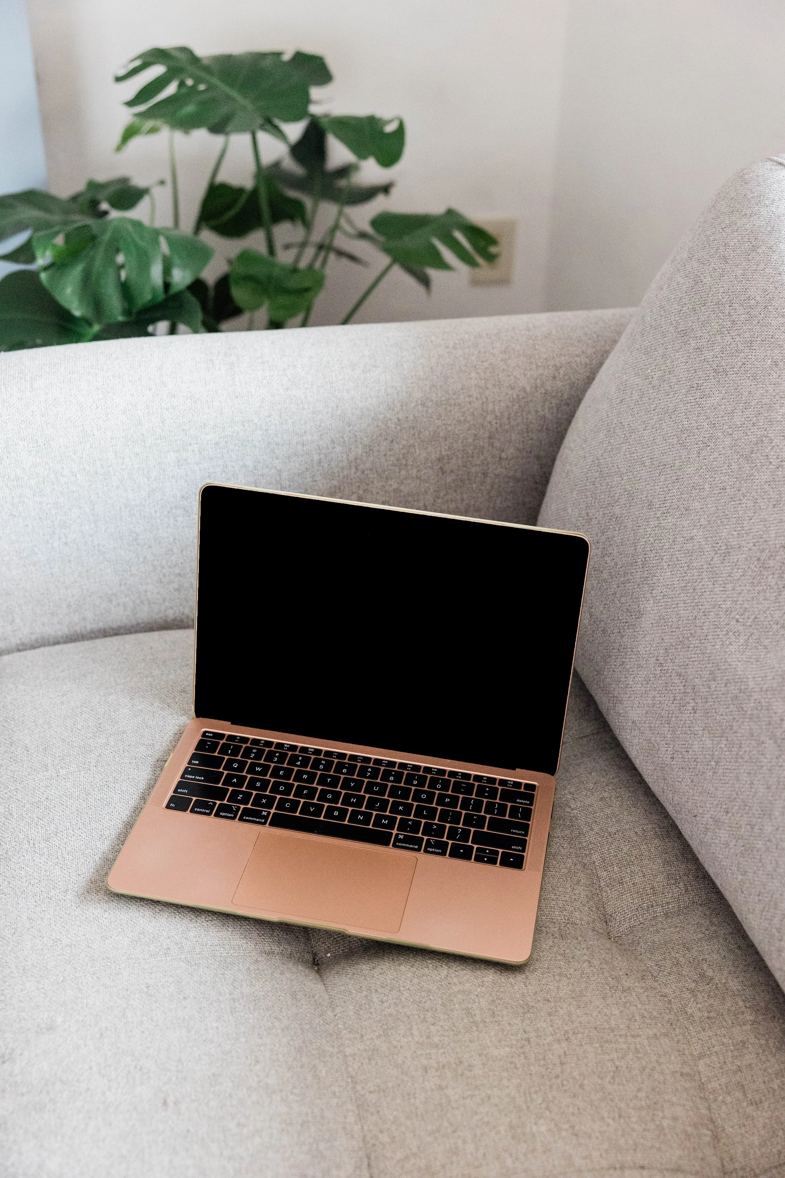 A rose gold laptop on a light gray fabric sofa with a green leafy plant in the background.