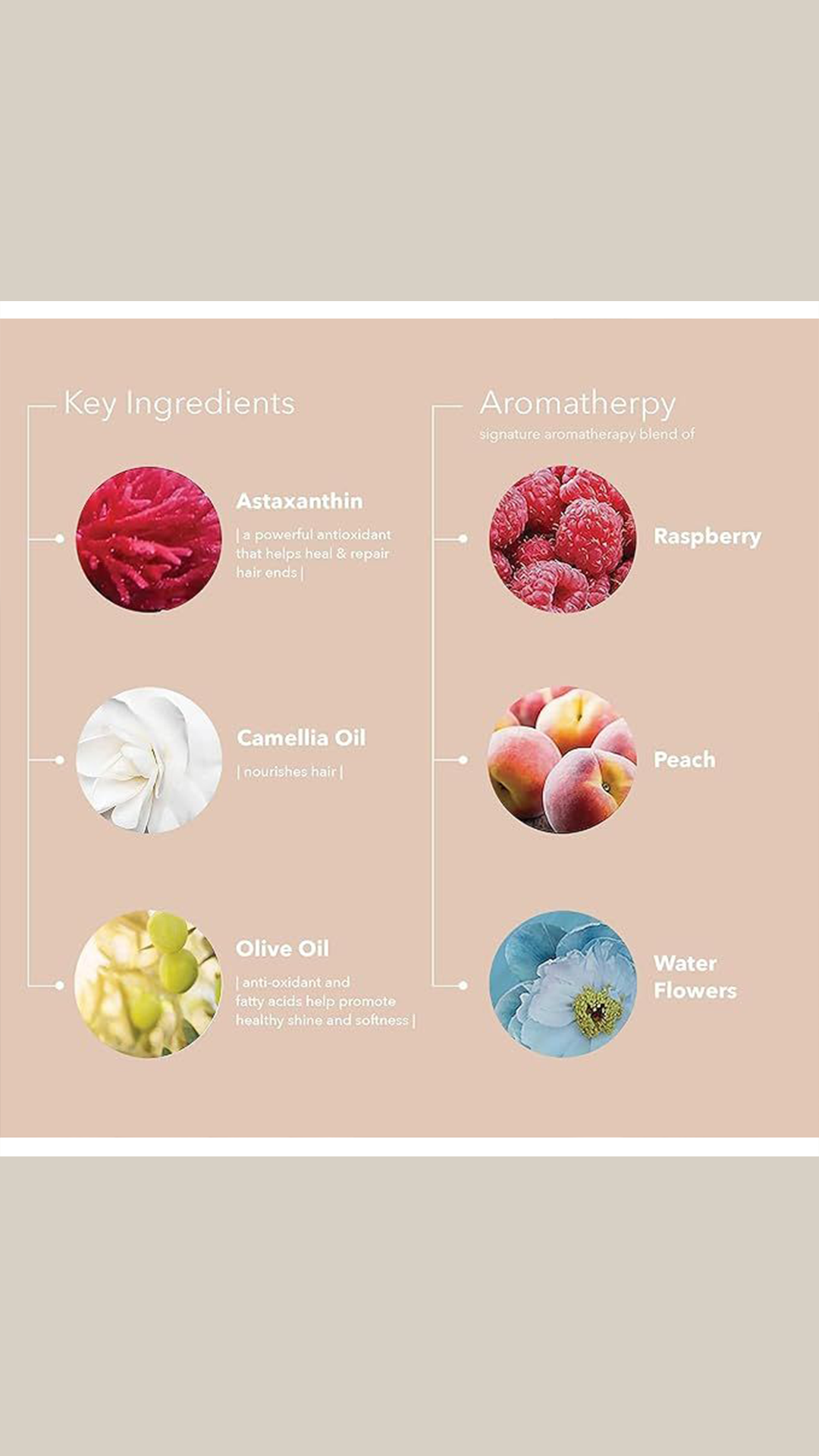 Pureology Products 4.png