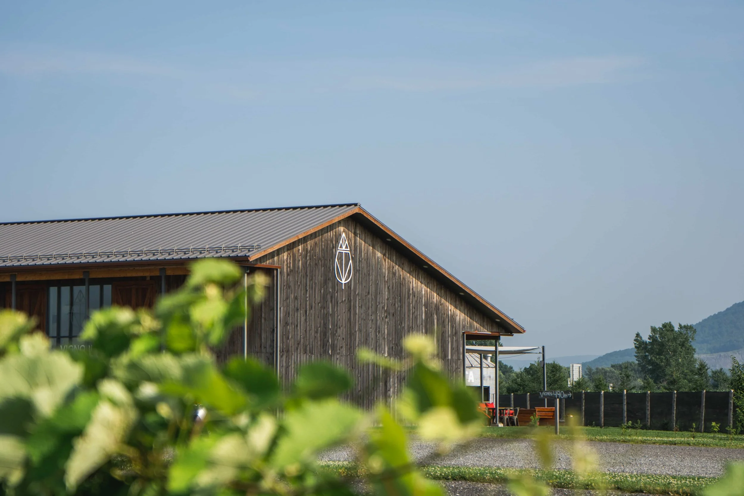 Vineterra - Photographie & Vidéos vignoble