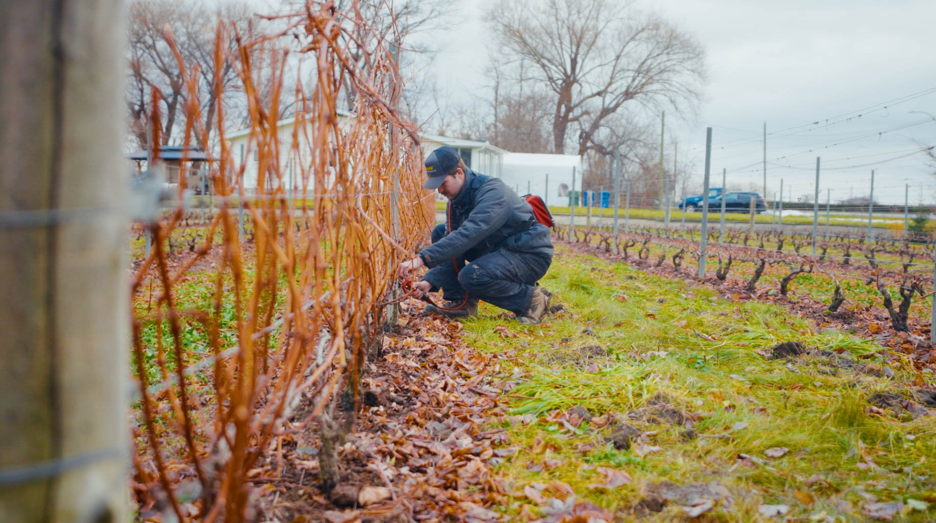 Screenshot 2026-01-08 at 12.29.28 PM.jpg