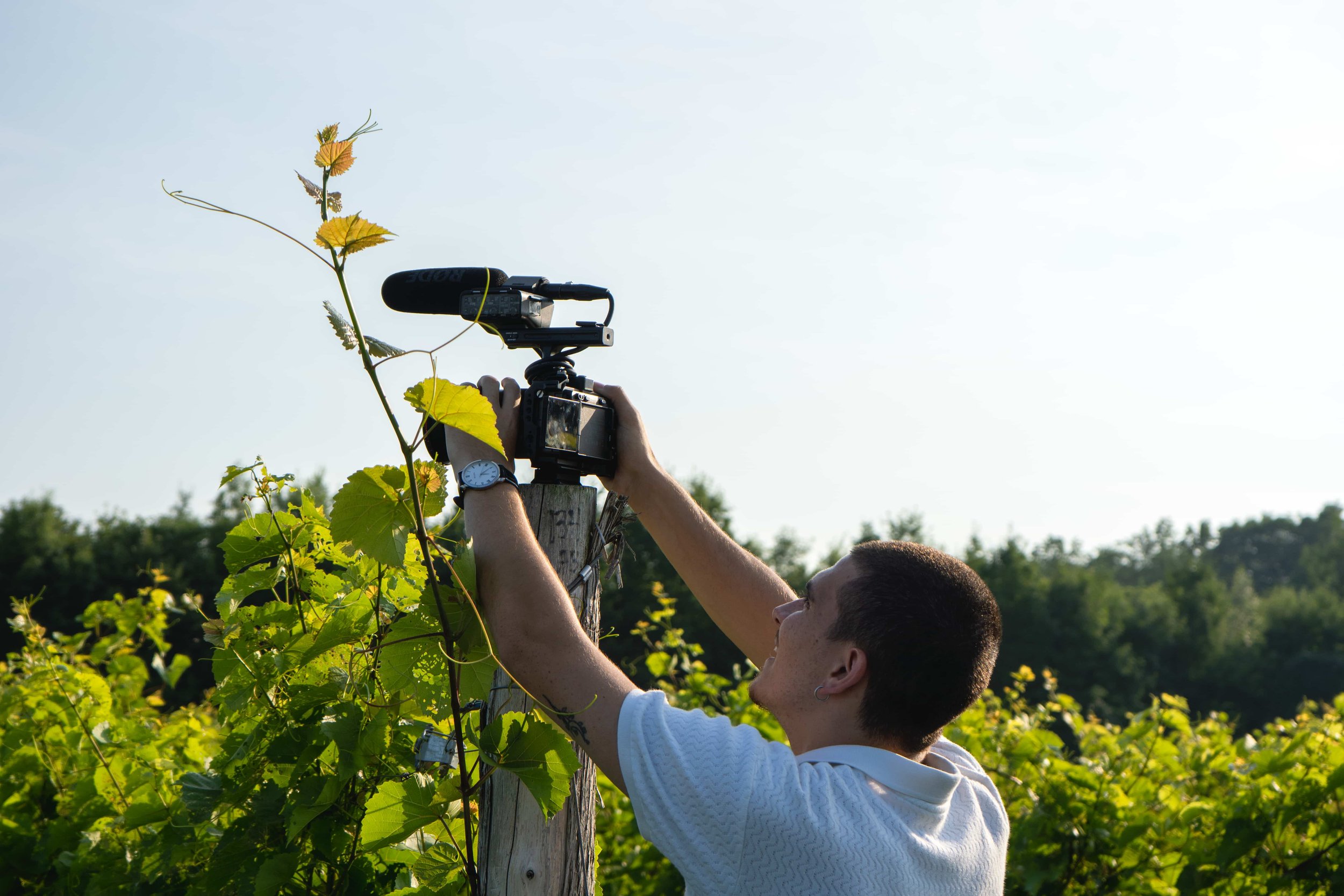 Vineterra Edited-04.jpg