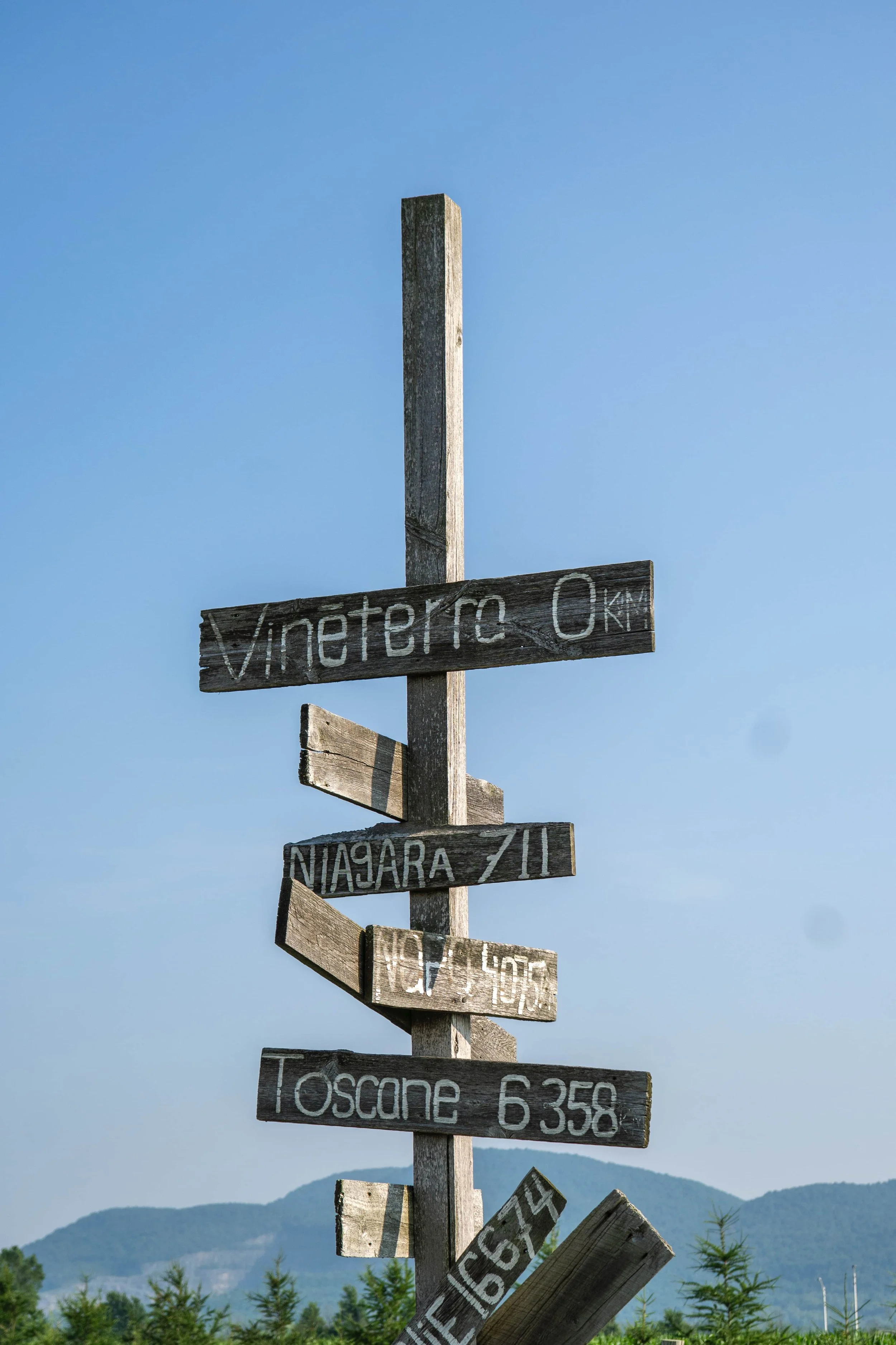 Vineterra Edited-36.jpg