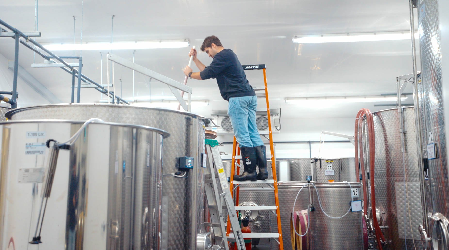 Screenshot 2026-01-08 at 12.45.07 PM.jpg