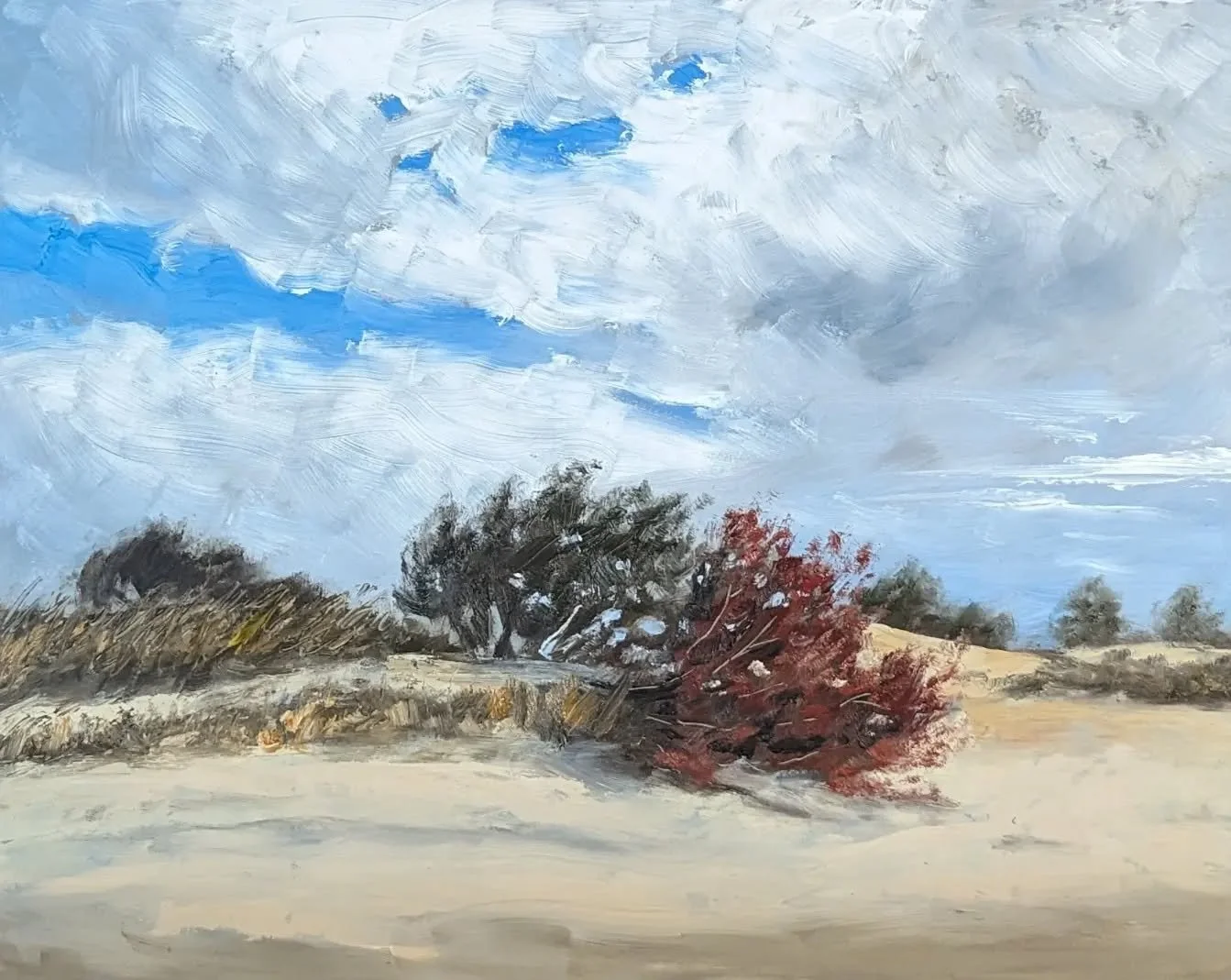 Ocracoke beach, north end
8x10&quot; oil on linen panel

#oilpainting #landscapepainting #beachpainting #ocracoke #ocracokeart #ncartist