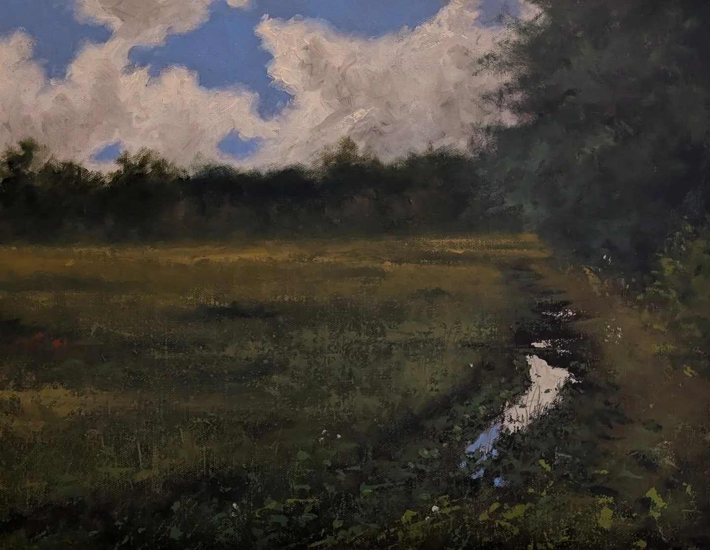 Abandoned Rice Field

14x18&quot;, Oil on canvas

#oilpainting #landscapepainting #brookgreengardens