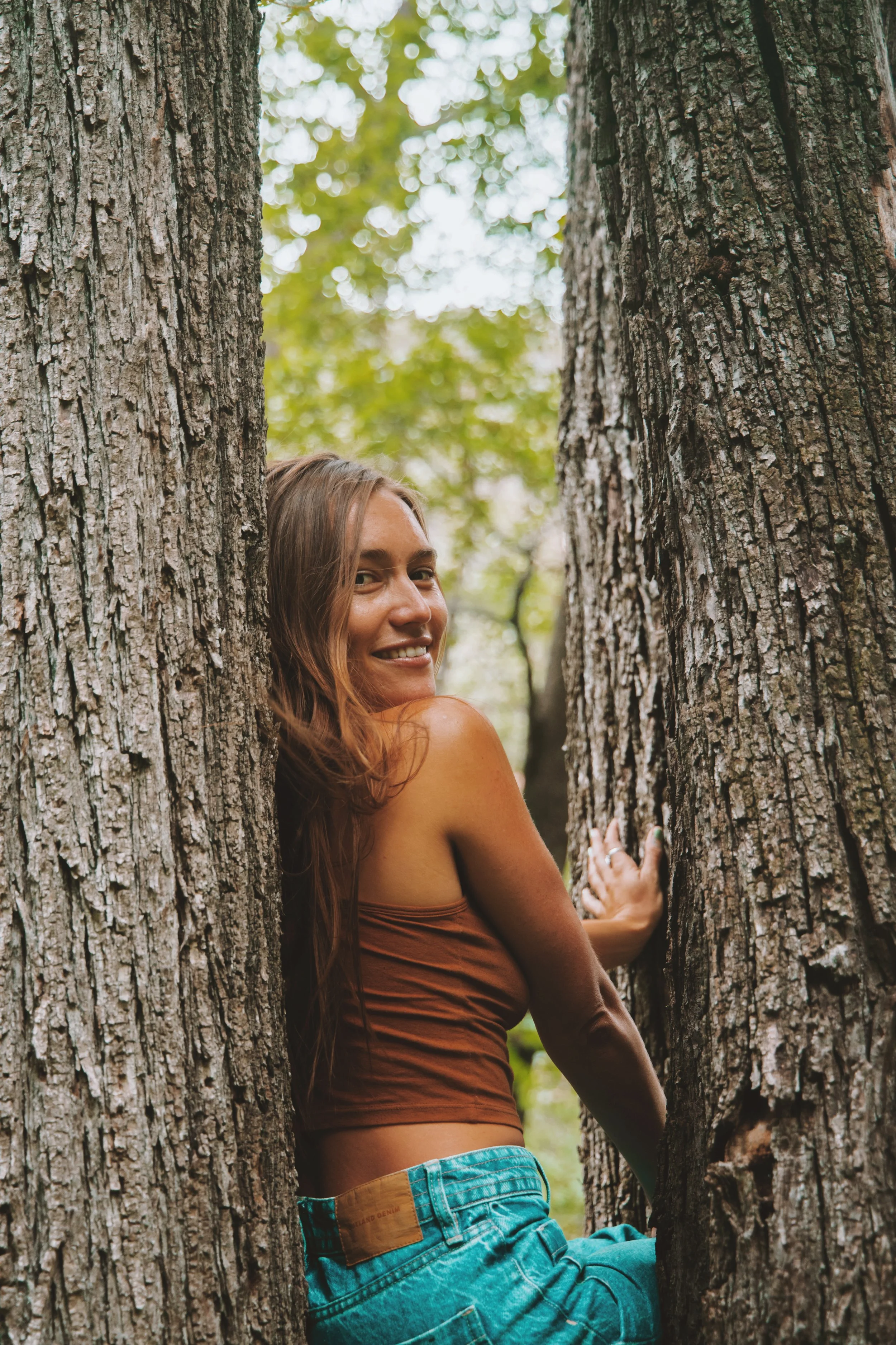 AfterlightImage 8.JPG