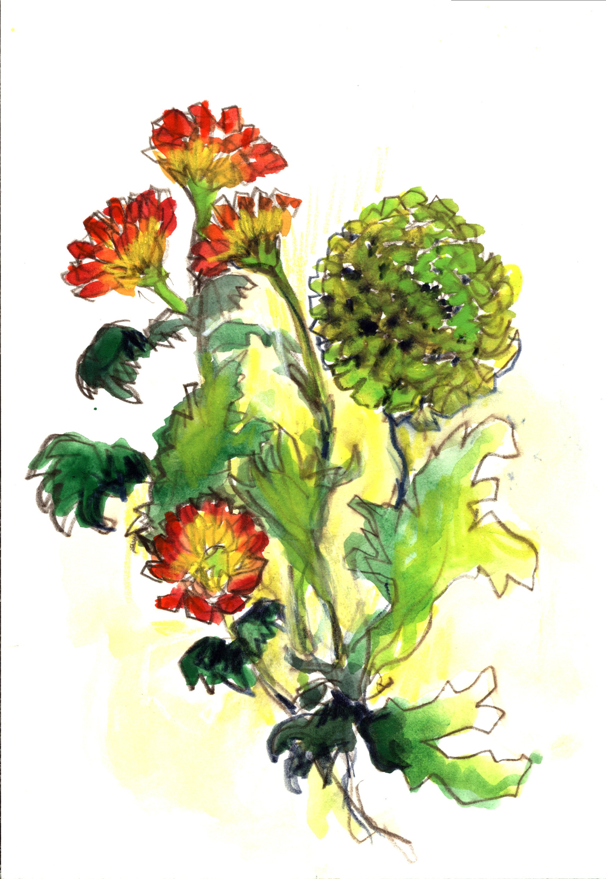 0000 - 2025-11-24T195551.628.jpg