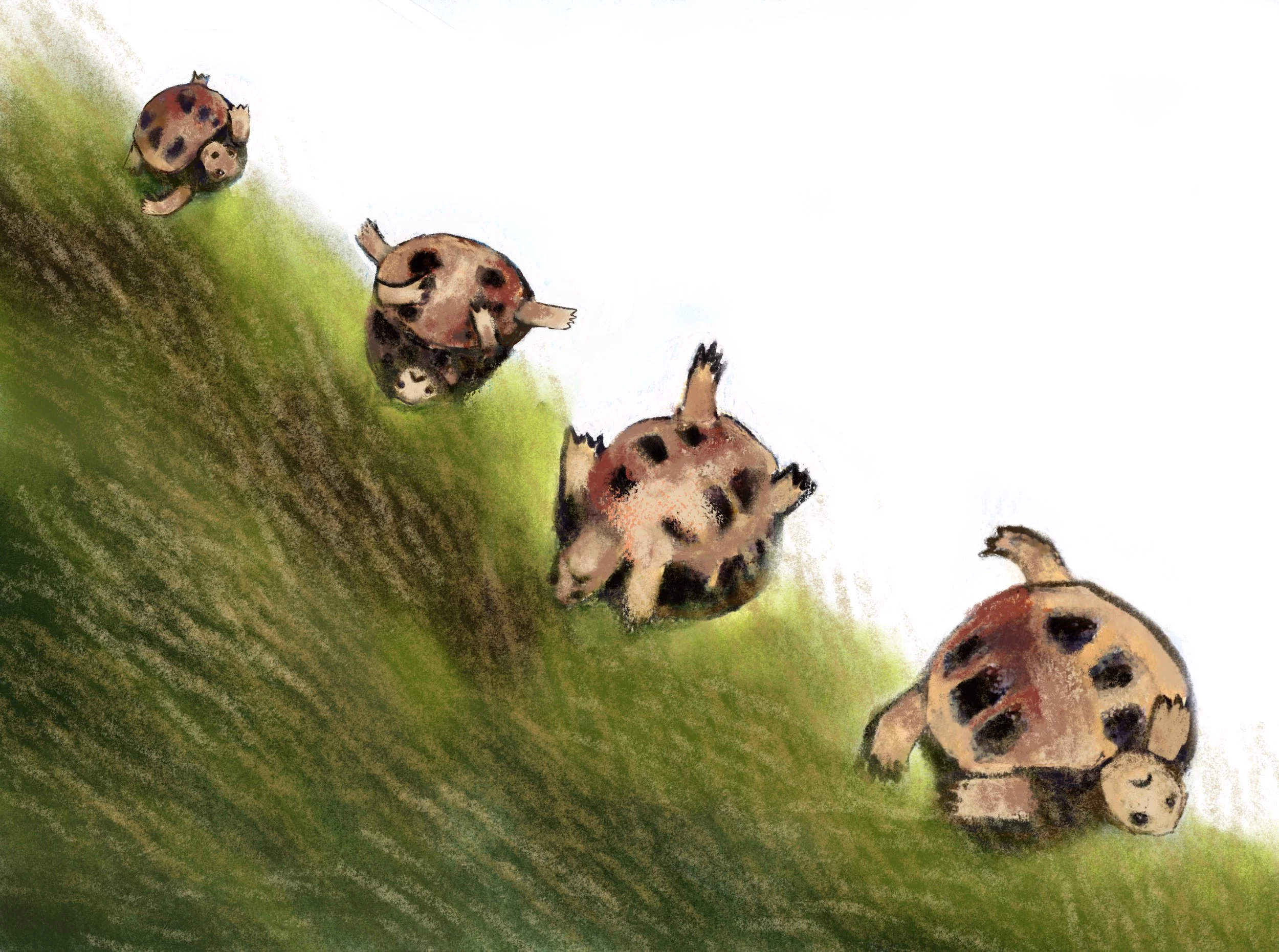 Illustration from "Little Turtle Topples Over," Mixed Media