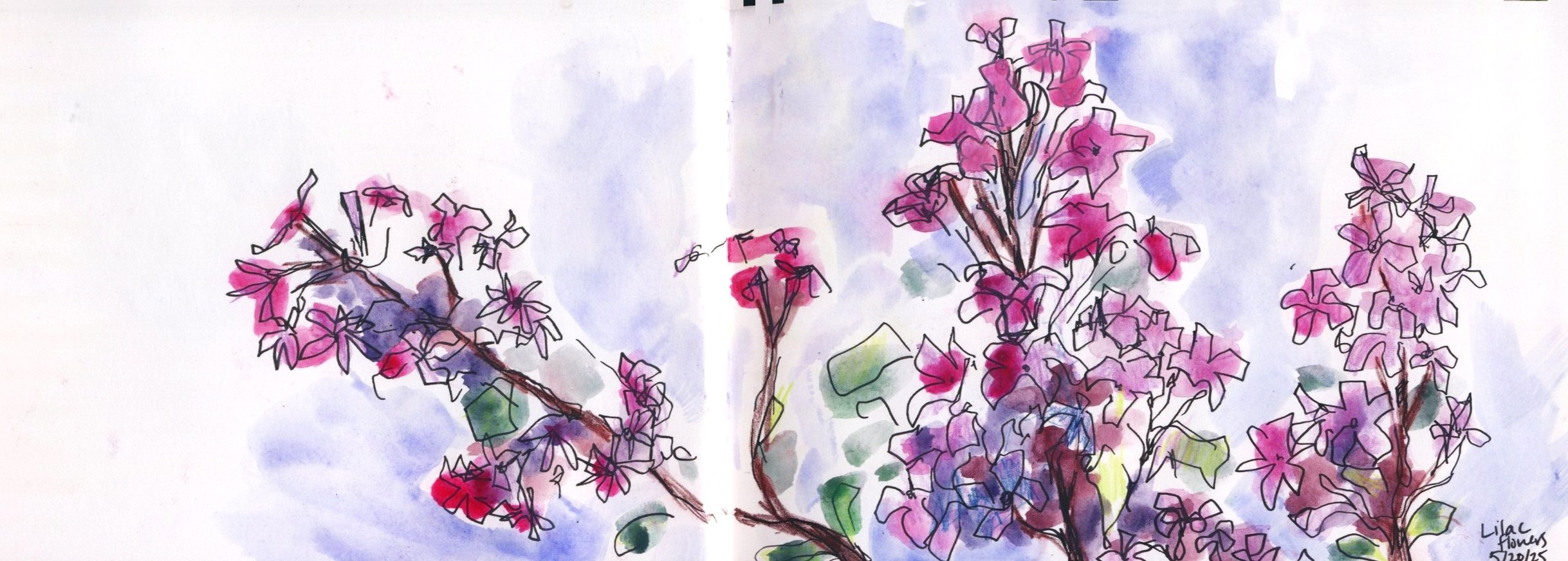 Pink Wildflowers