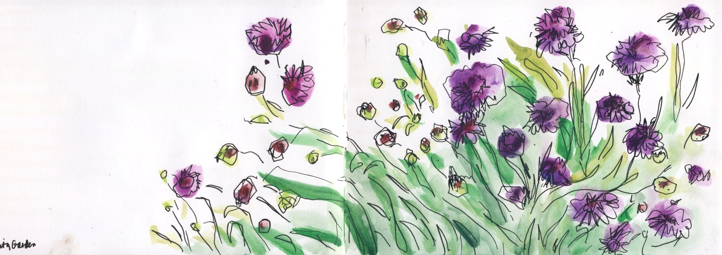 Purple Wildflowers