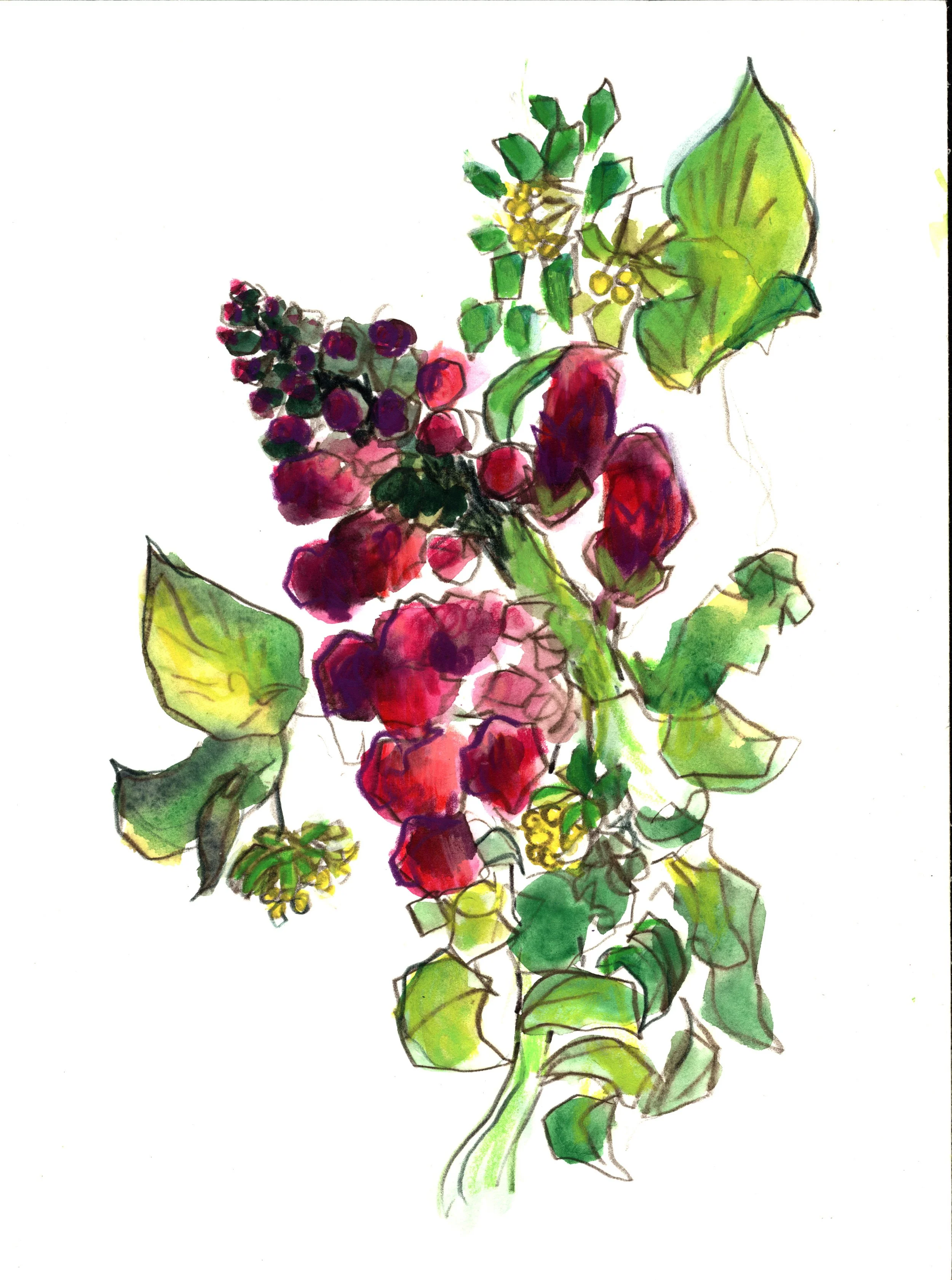 0000 - 2025-11-24T195600.131.jpg