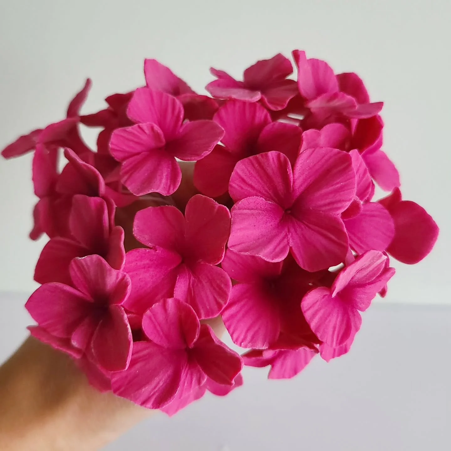 Winter may be here, but I'm already thinking spring! Brightening up your feed with these handmade Sugar Flowers. Spring will be here before you know it! #springwedding #newenglandwedding #customcaketoppers #sugarflowers #SaraHallCake