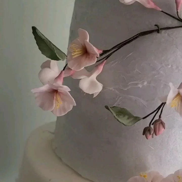 Dreaming of spring, it can't come soon enough!  Here is a Cherry Blossom Wedding Cake while we wait...
.
.
.
#luxurycakes #newenglandwedding #massachusettswedding #connecticutwedding #newenglandwedding #customcakes #springwedding #sugarflowers #sarah