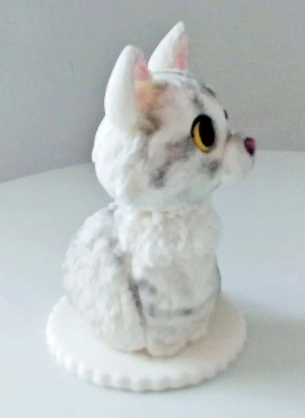 2026-02-23 09.49.42.jpeg