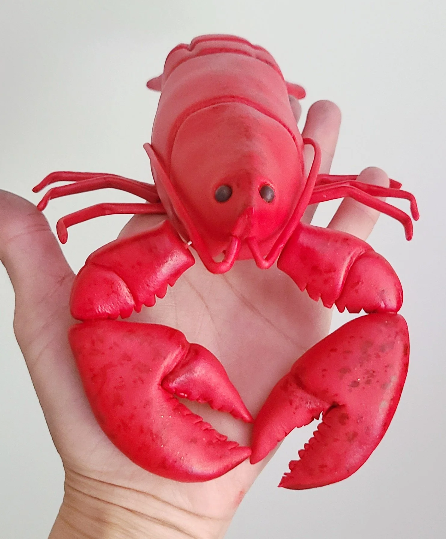 2024-05-21 08.31.19.jpg