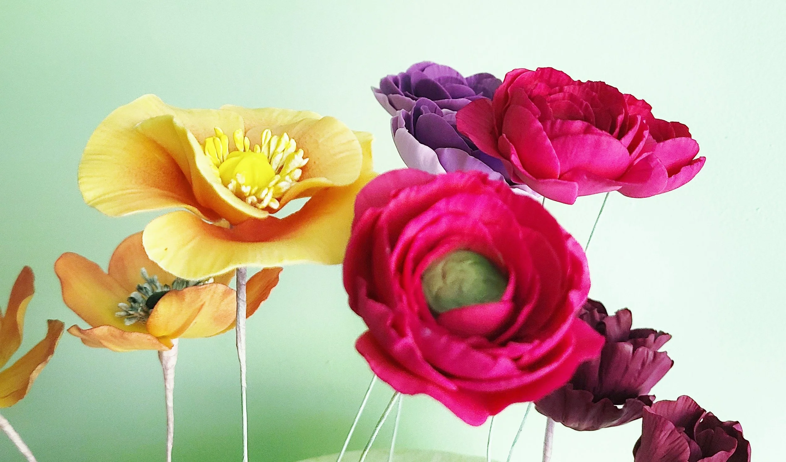 2025-08-19 07.24.47.jpg