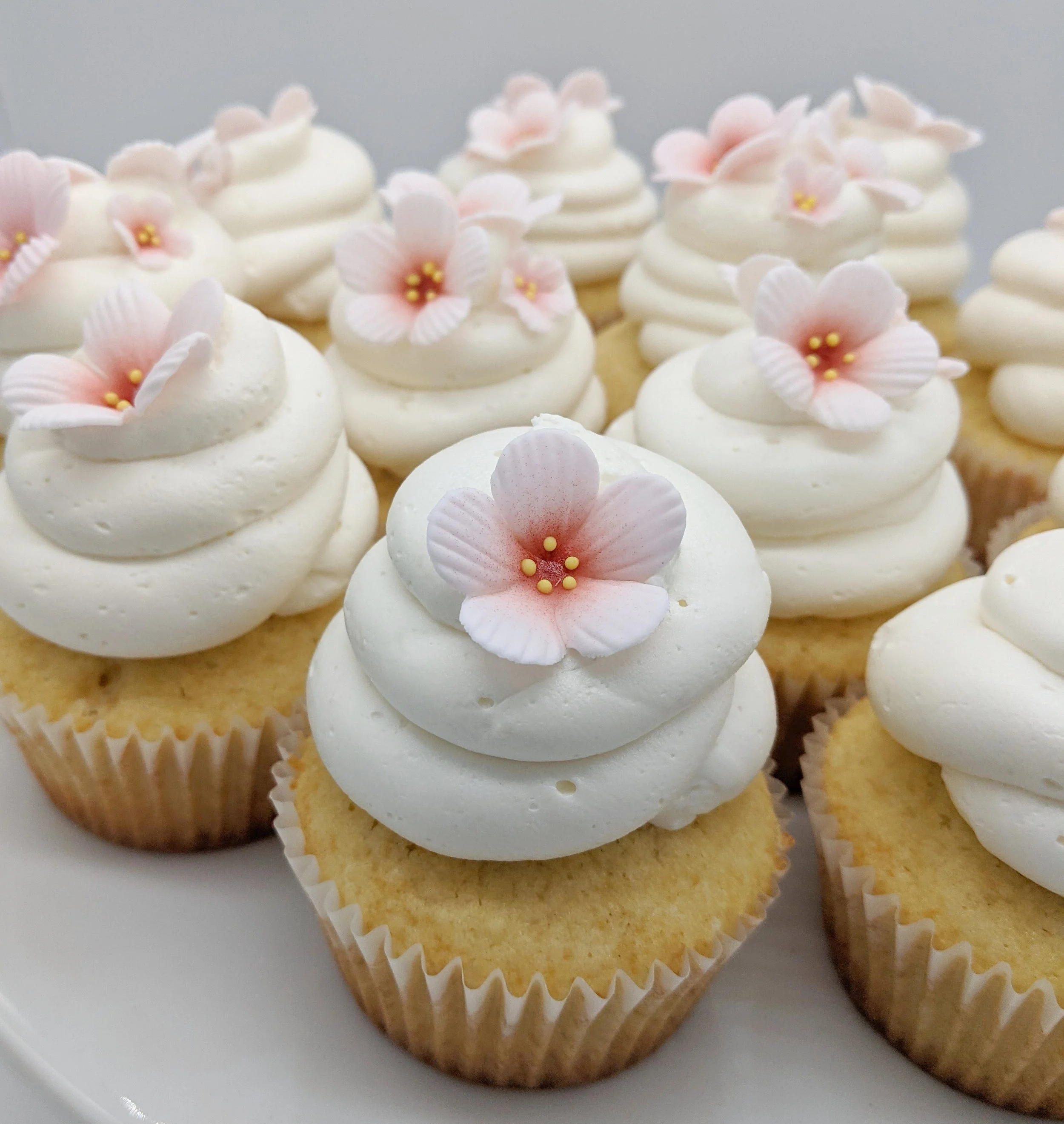 2023-01-18 20.17.16.jpg